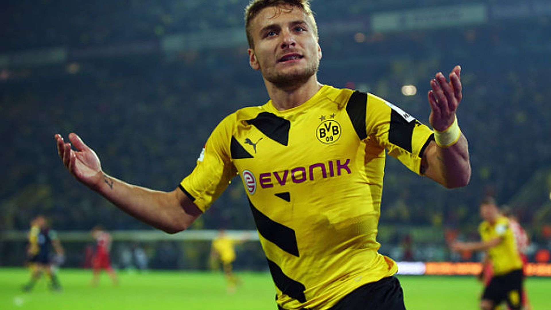 ciroimmobile_opt.jpg