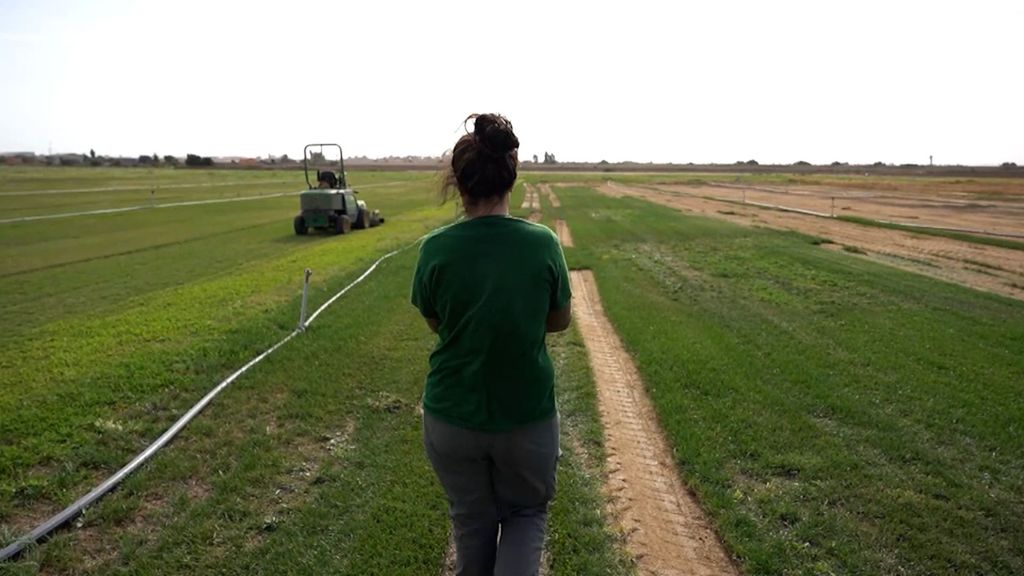 (Mediaset) Cómo afecta a los equipos la nueva normativa del césped artificial