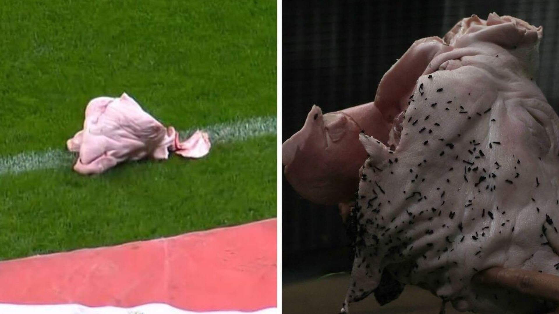 corinthians_palmeiras.jpg corinthians_palmeiras.jpg