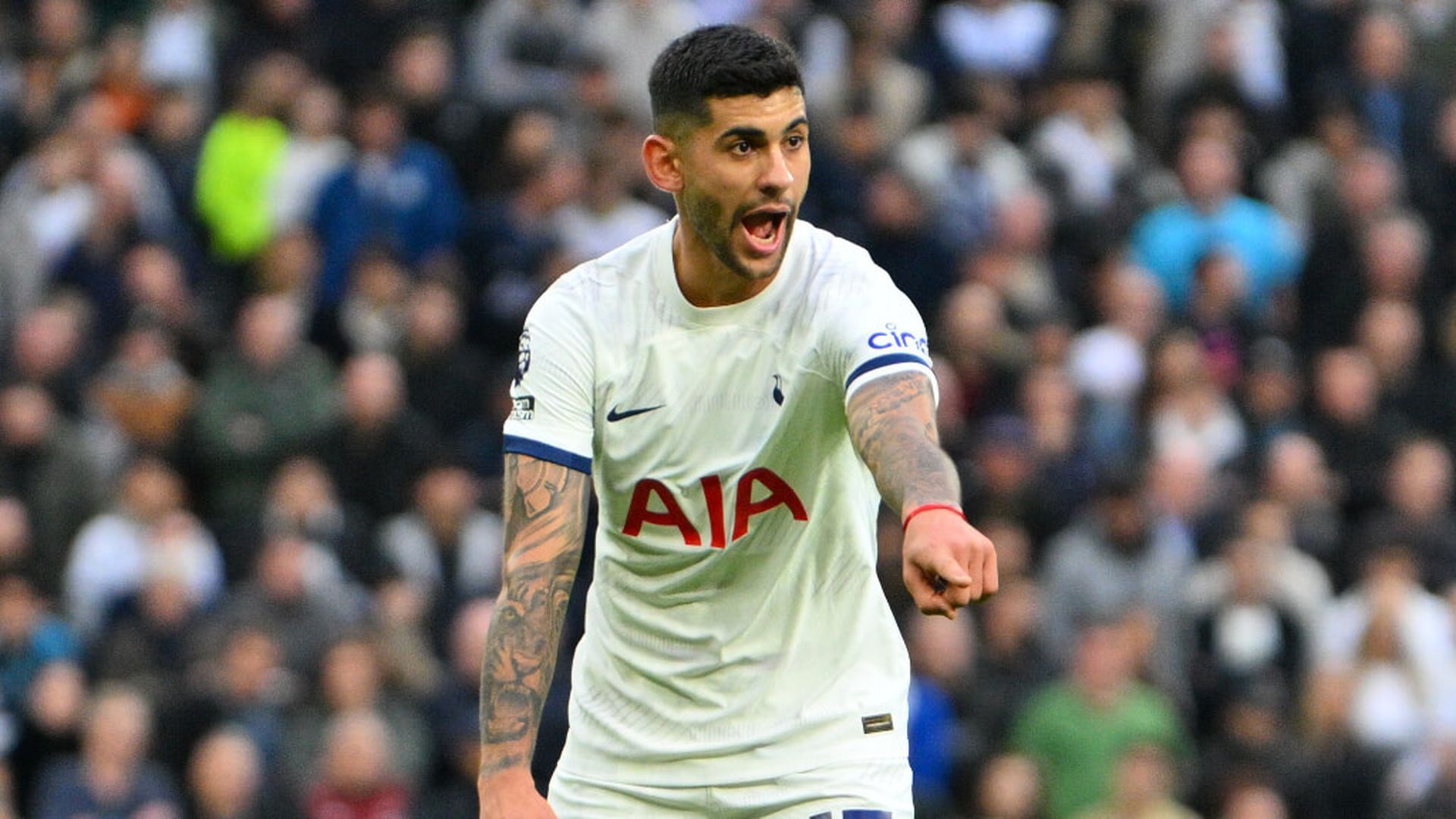 cutiromjpg_001.jpg cutiromjpg_001.jpg