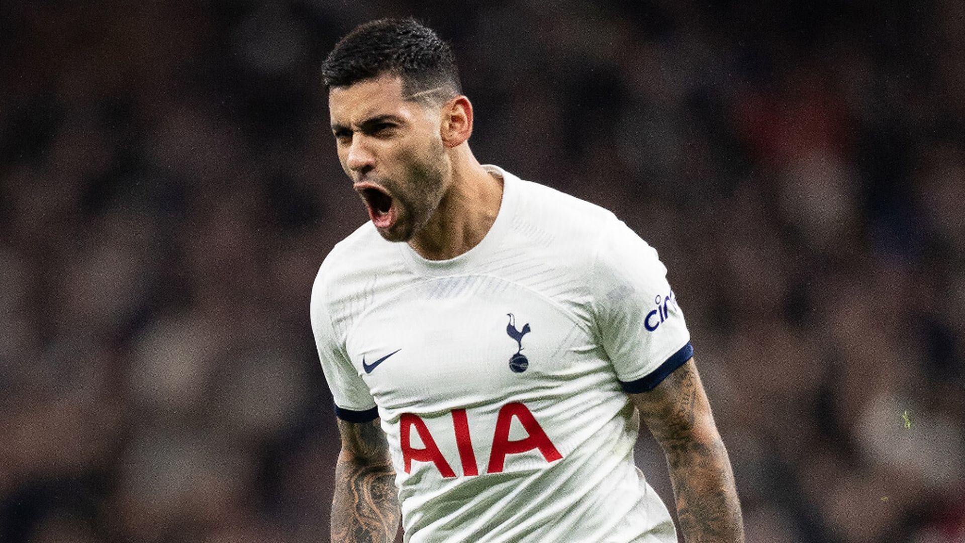 cuuutijpg_001.jpg cuuutijpg_001.jpg