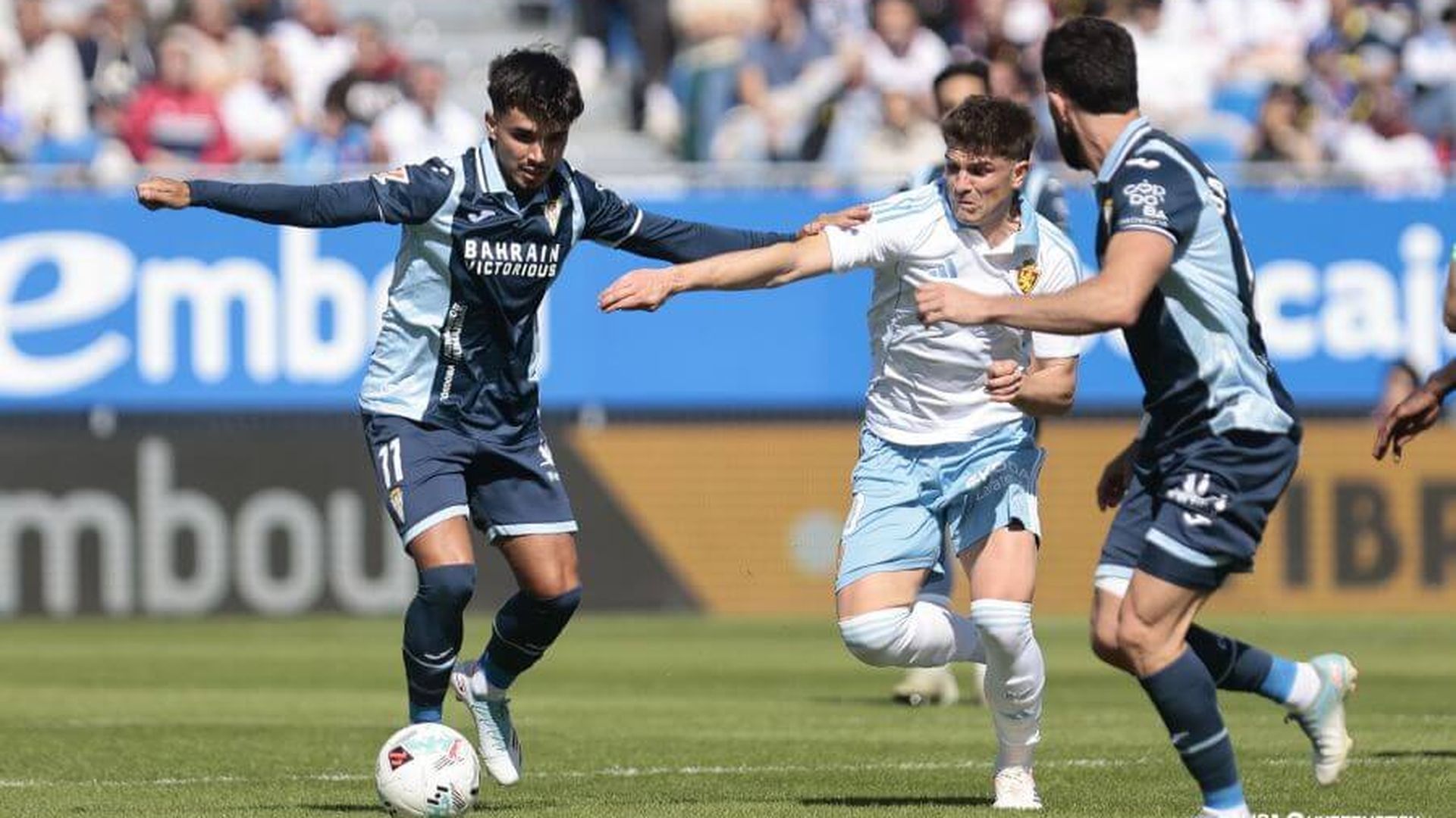 d21a438bcf0fe931445c72a894b8d1bejpeg.jpeg d21a438bcf0fe931445c72a894b8d1bejpeg.jpeg