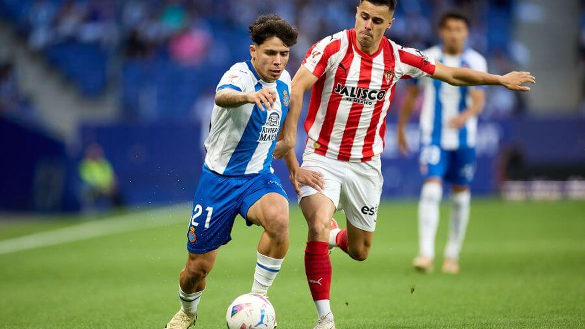 d36b257f757944367336a27340ec91f7jpeg.jpeg d36b257f757944367336a27340ec91f7jpeg.jpeg