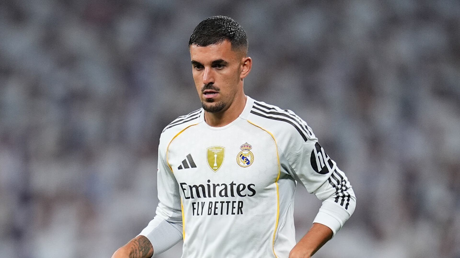 dani_ceballos_1jpg_001.jpg dani_ceballos_1jpg_001.jpg