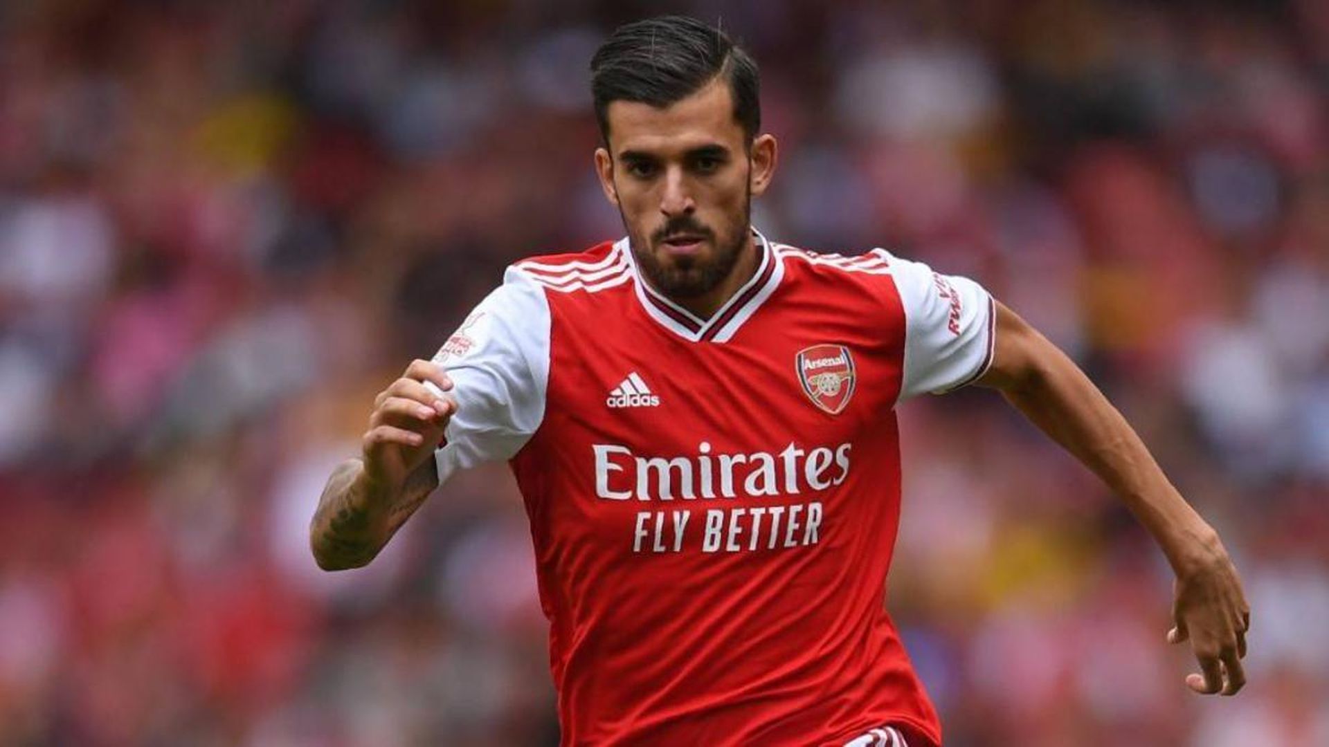 dani_ceballos_en_un_partido_con_el_arsenal_foto_efe_001.jpg dani_ceballos_en_un_partido_con_el_arsenal_foto_efe_001.jpg
