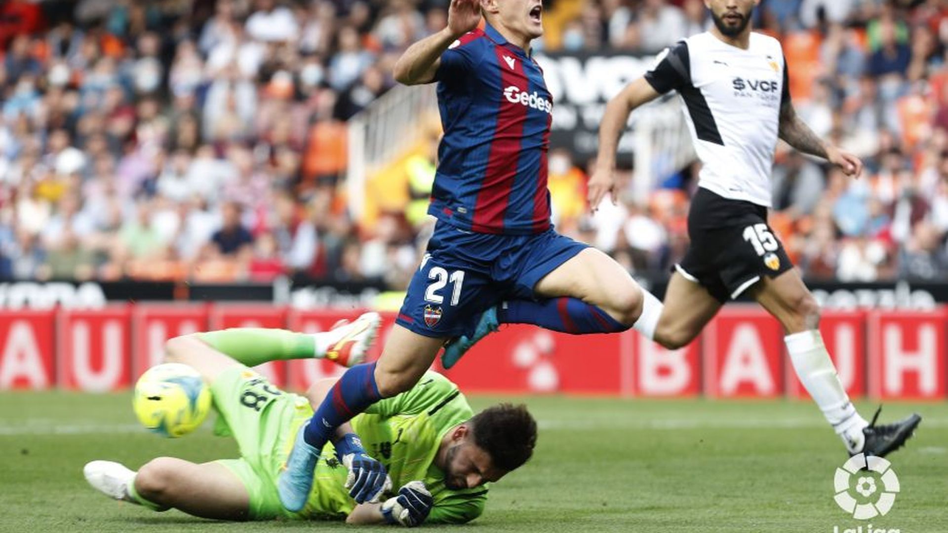 dani_gomez.jpeg dani_gomez.jpeg