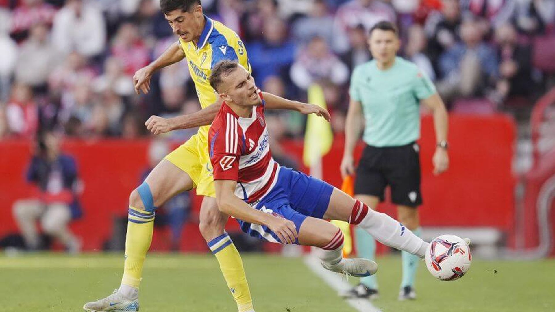 ded6984ea2445ea4e53dc585ca1631f4jpeg.jpeg ded6984ea2445ea4e53dc585ca1631f4jpeg.jpeg