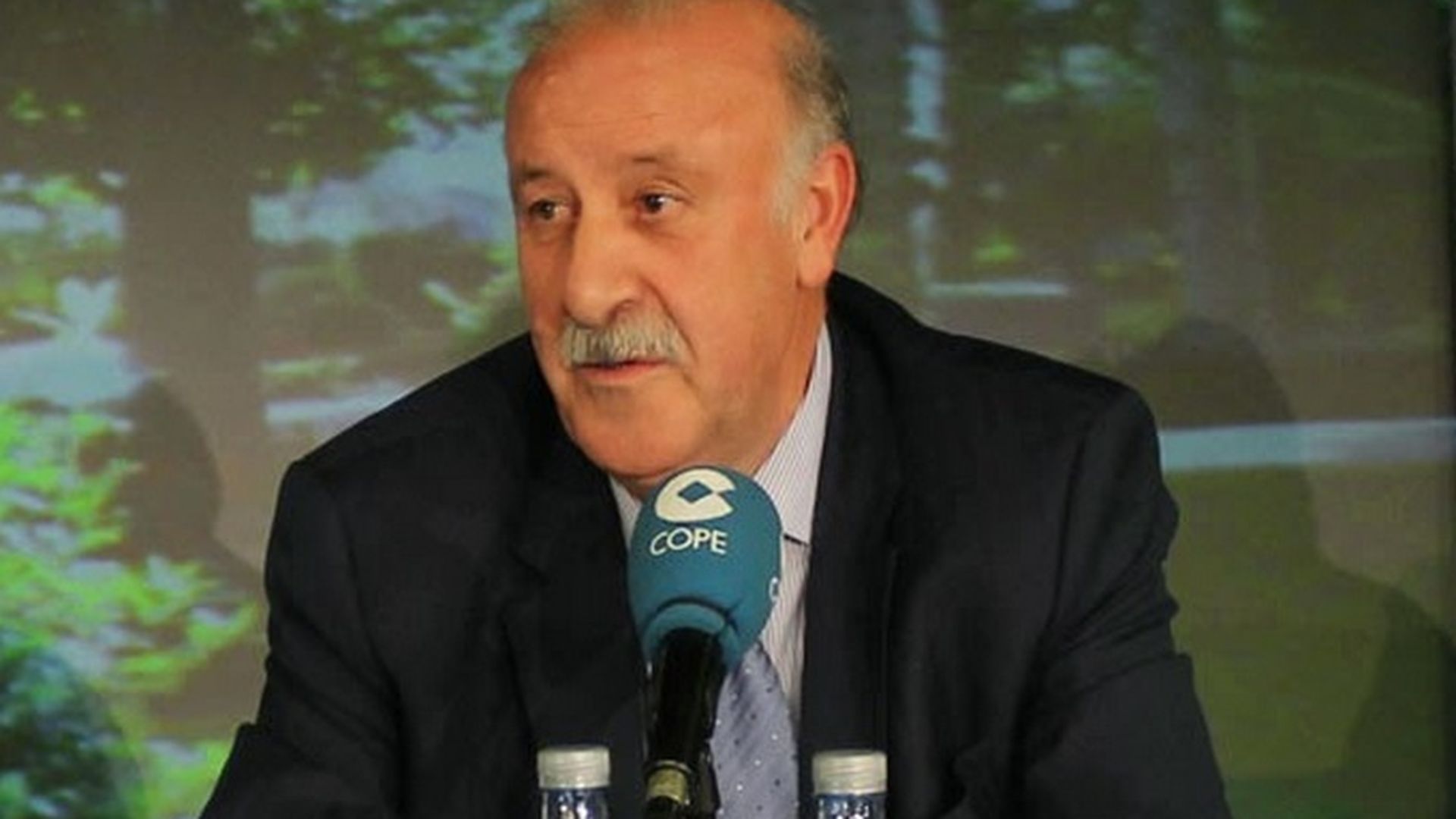 DelBosque.jpg