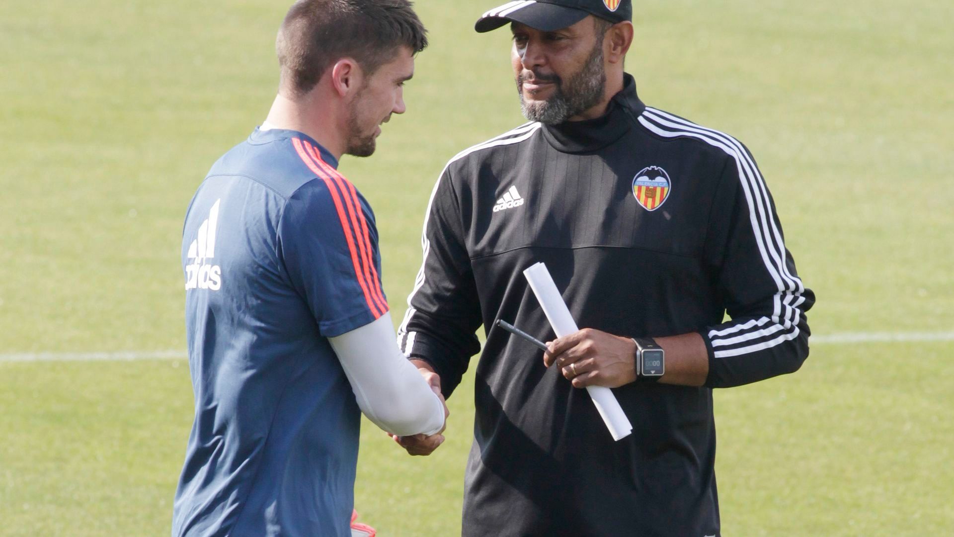 DES_VCF_AL_00.JPG