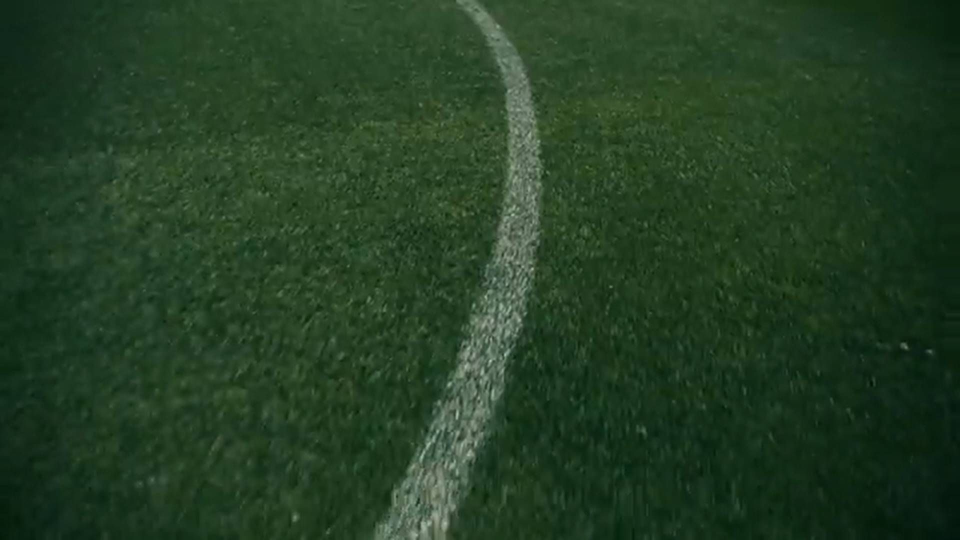 despedida_denis_001.jpg despedida_denis_001.jpg