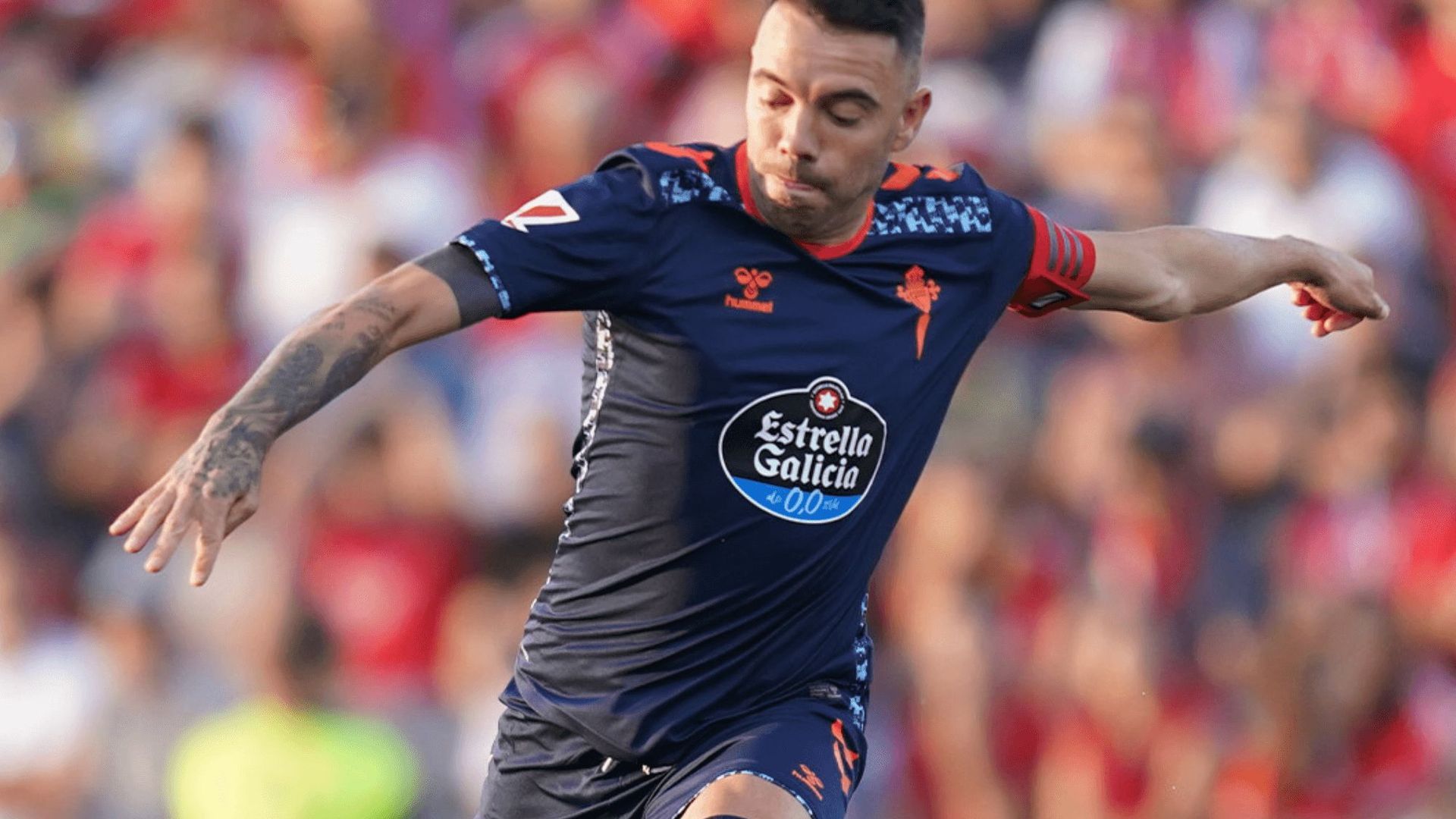 diseno_sin_titulo_2png_001.png diseno_sin_titulo_2png_001.png