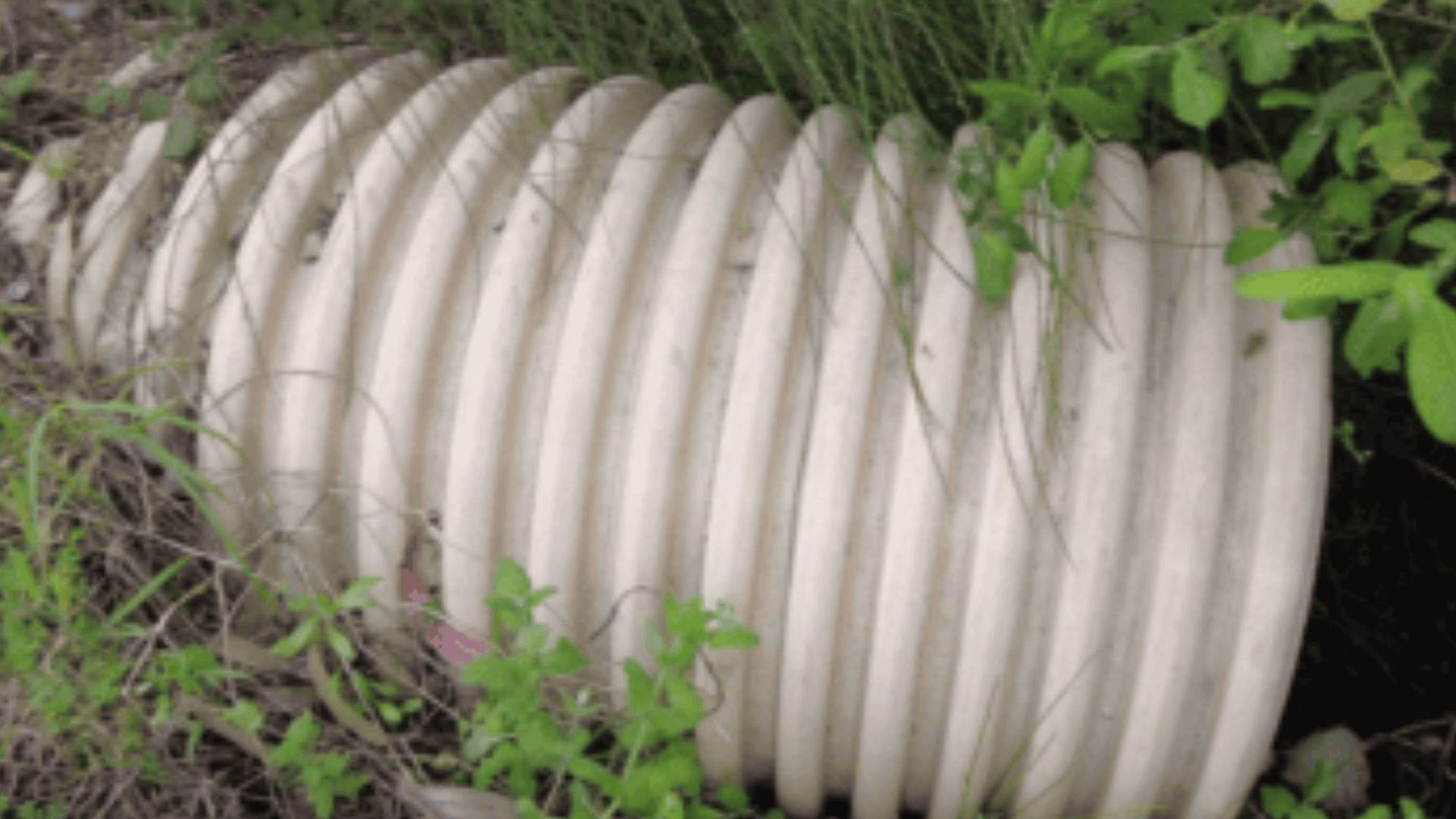 diseno_sin_titulo_40png.png diseno_sin_titulo_40png.png