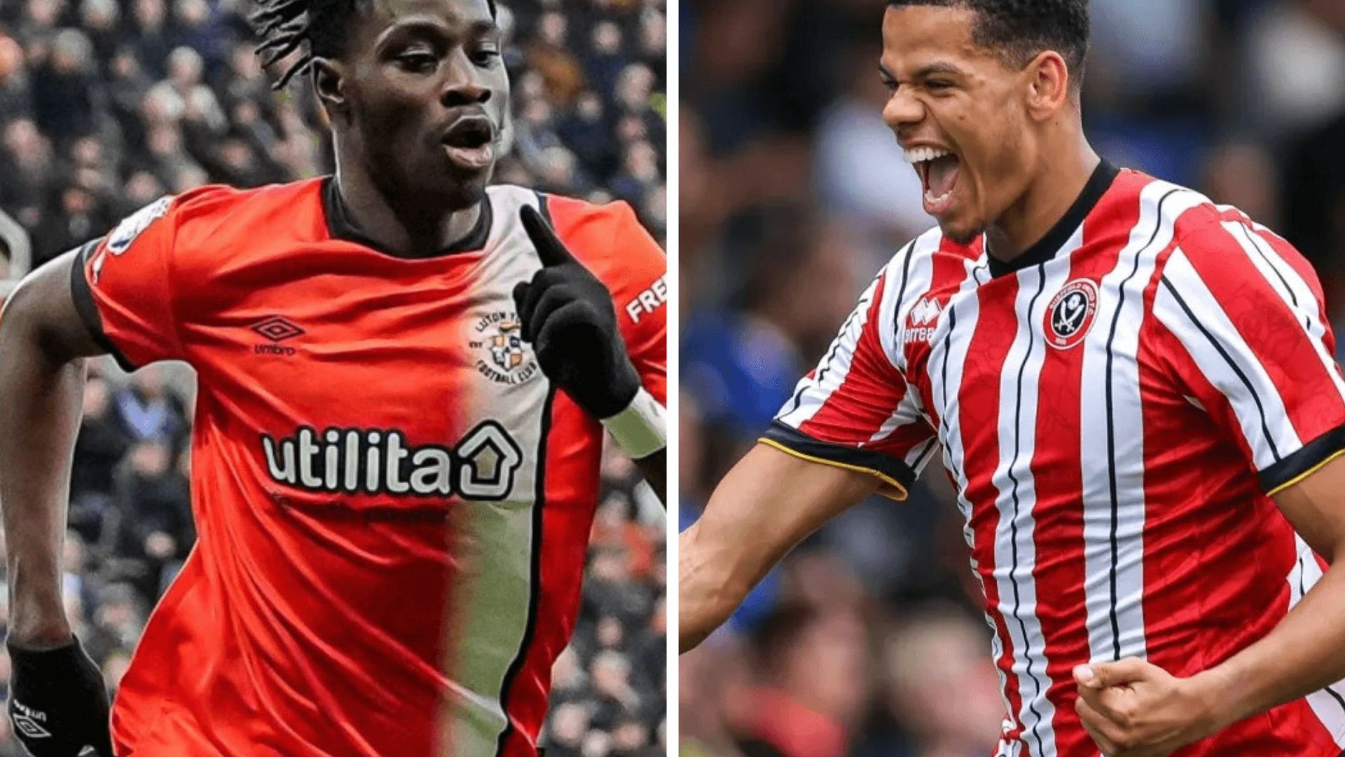 diseno_sin_titulo_59png_001.png diseno_sin_titulo_59png_001.png