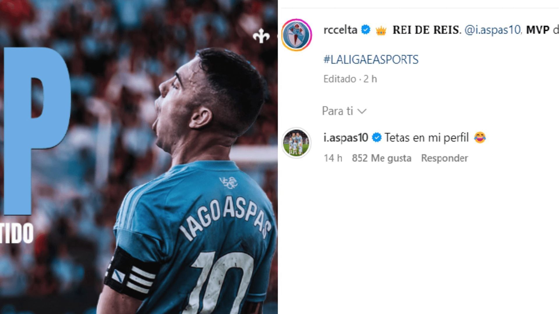 diseno_sin_titulo_80png_001.png diseno_sin_titulo_80png_001.png