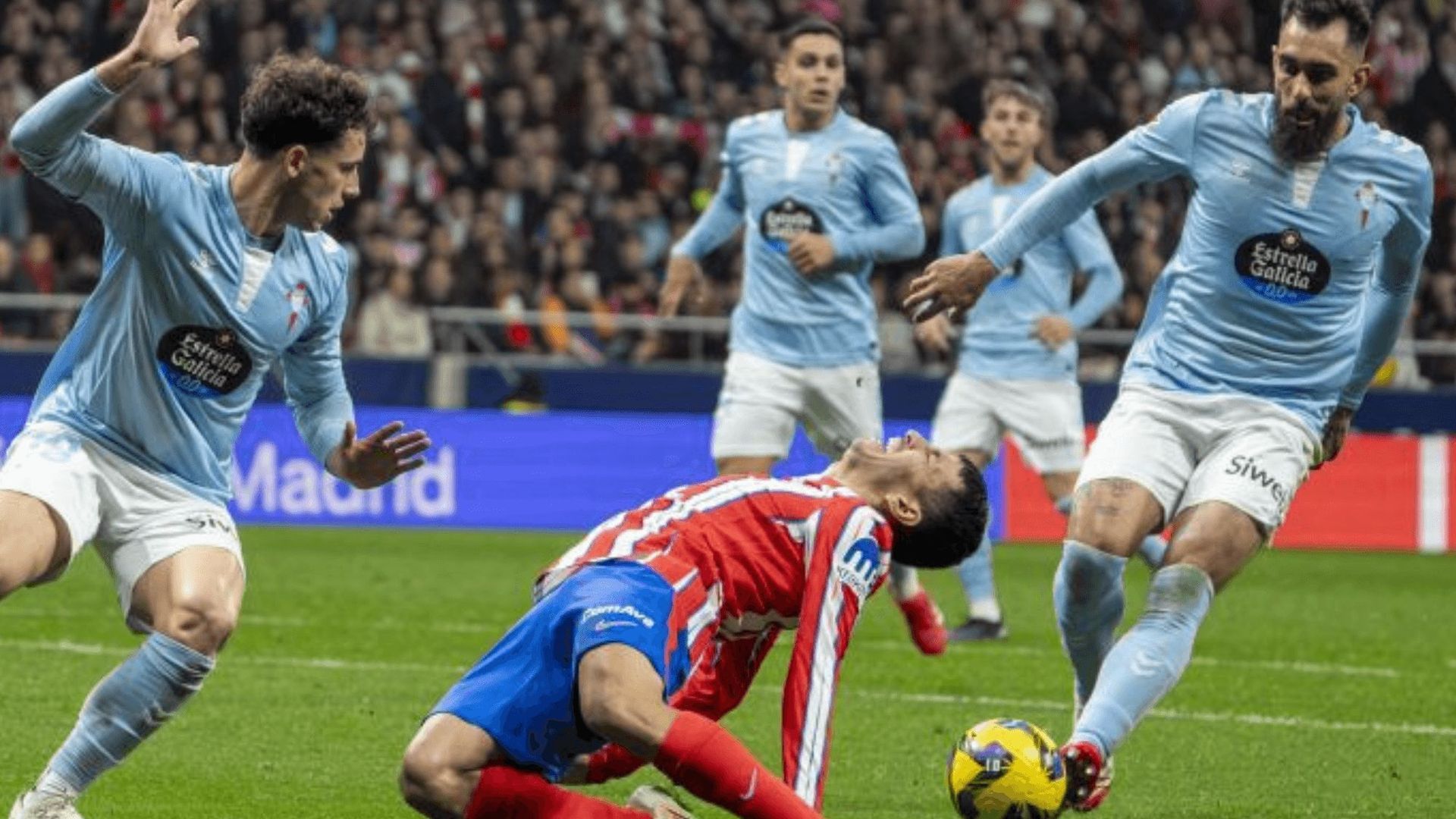 diseno_sin_titulo_85png.png diseno_sin_titulo_85png.png