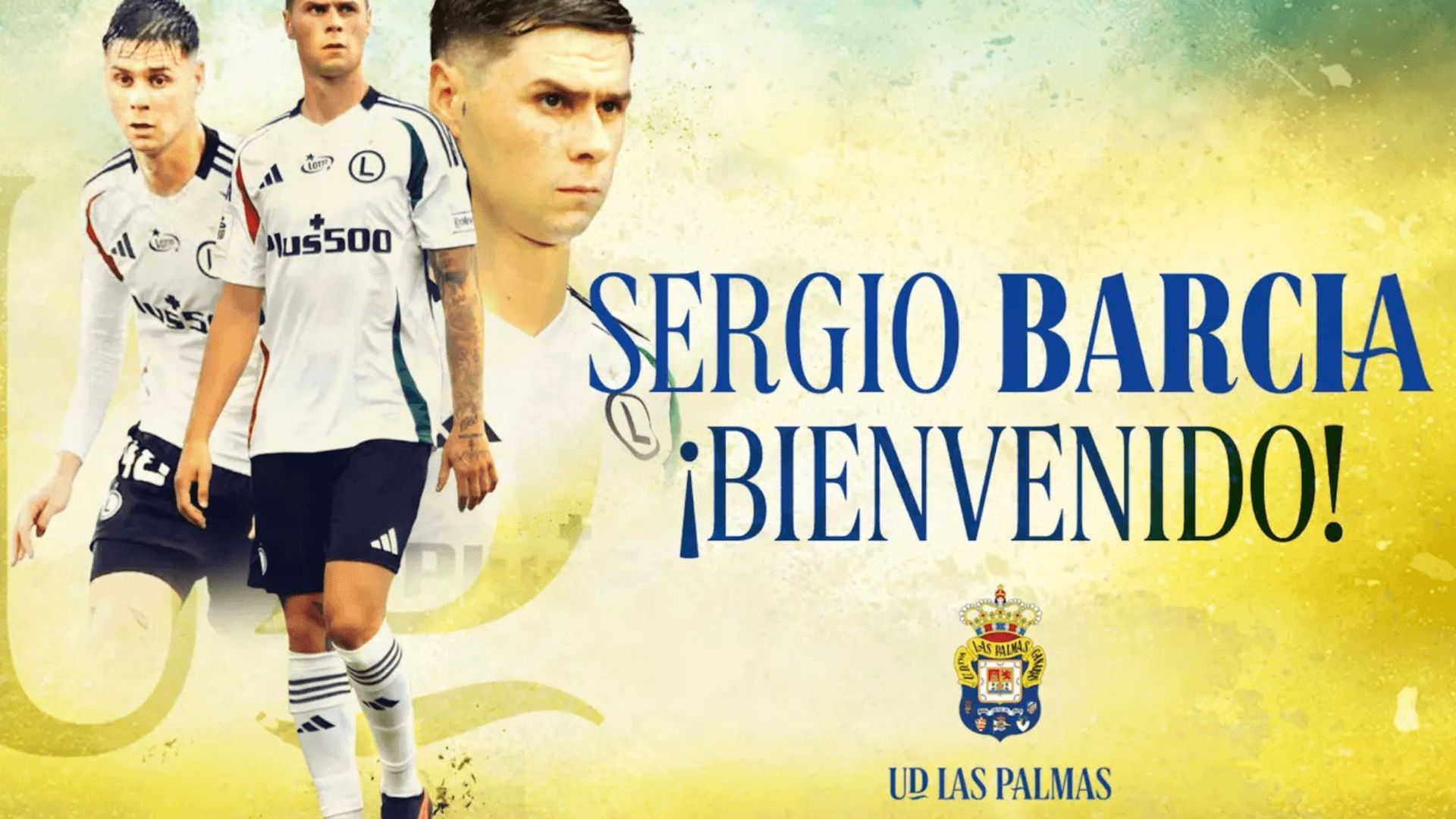 diseno_sin_titulo_8png.png diseno_sin_titulo_8png.png