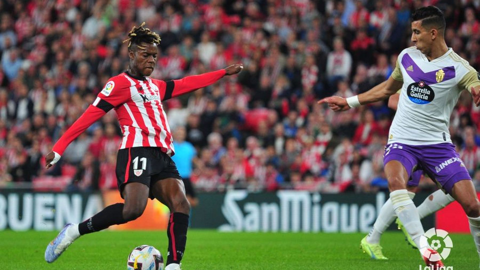 disparonicowilliamsjpeg.jpeg disparonicowilliamsjpeg.jpeg