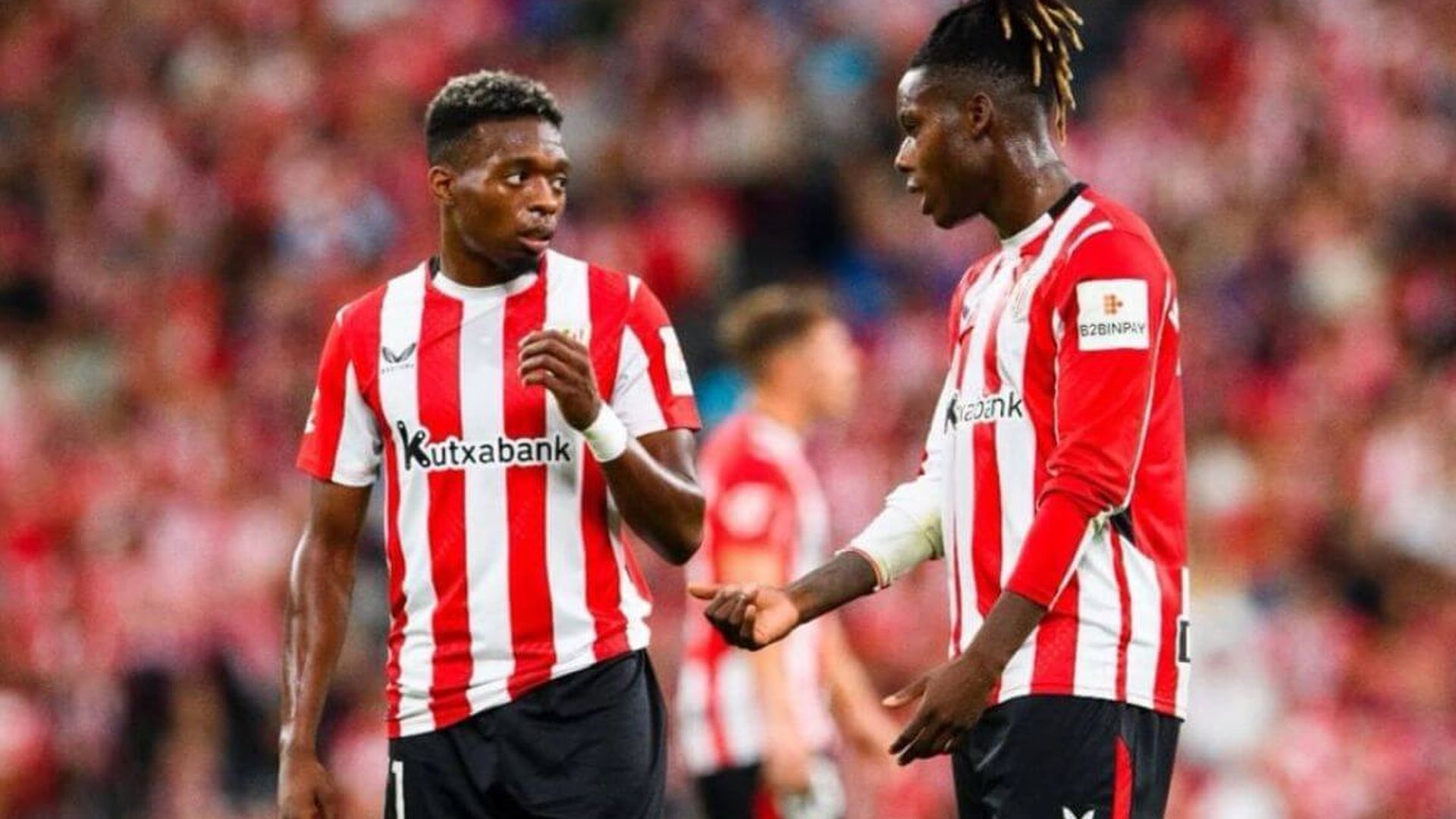 djalo_nicojpeg.jpeg djalo_nicojpeg.jpeg