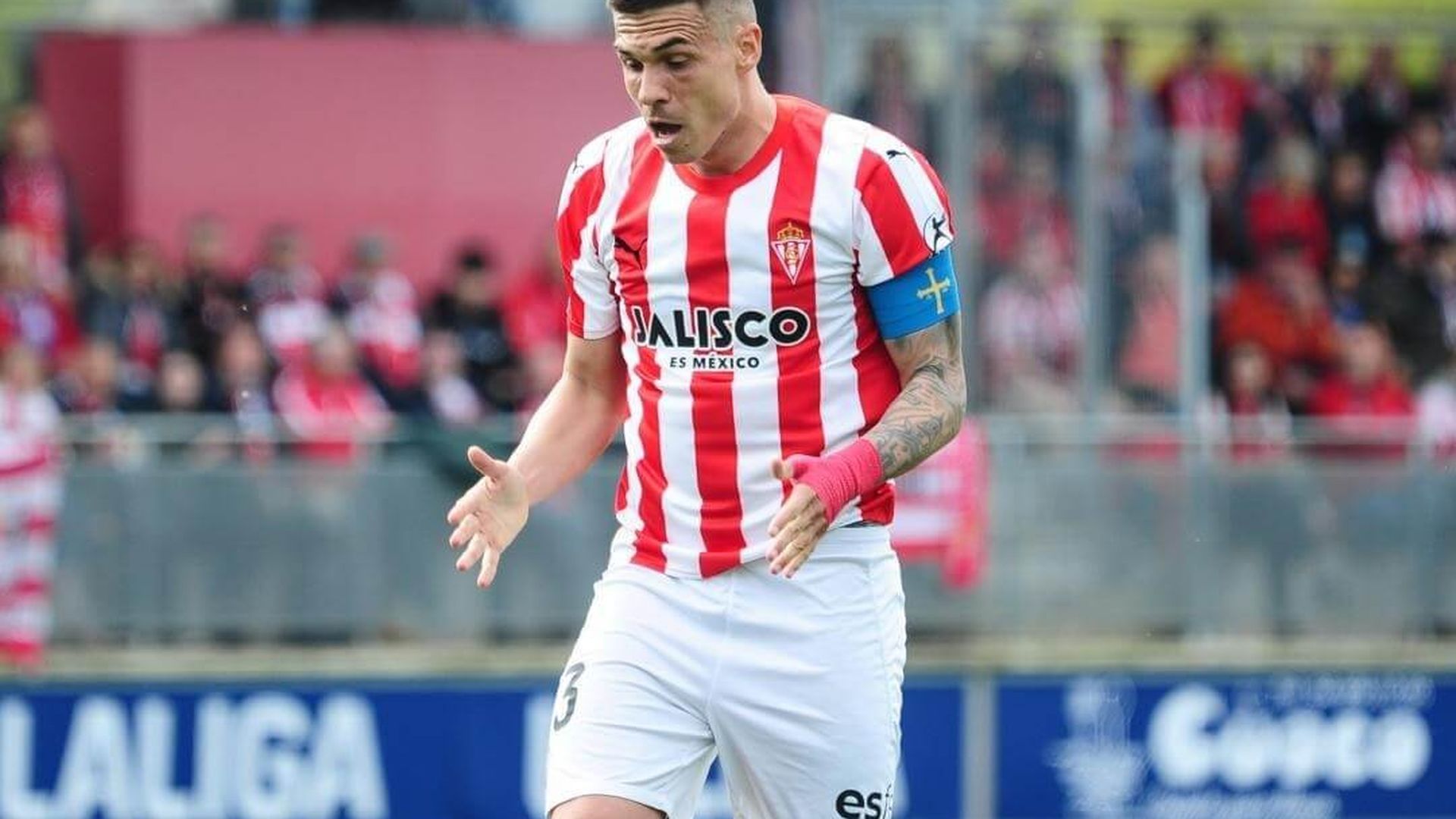 djukajpg_001.jpg djukajpg_001.jpg