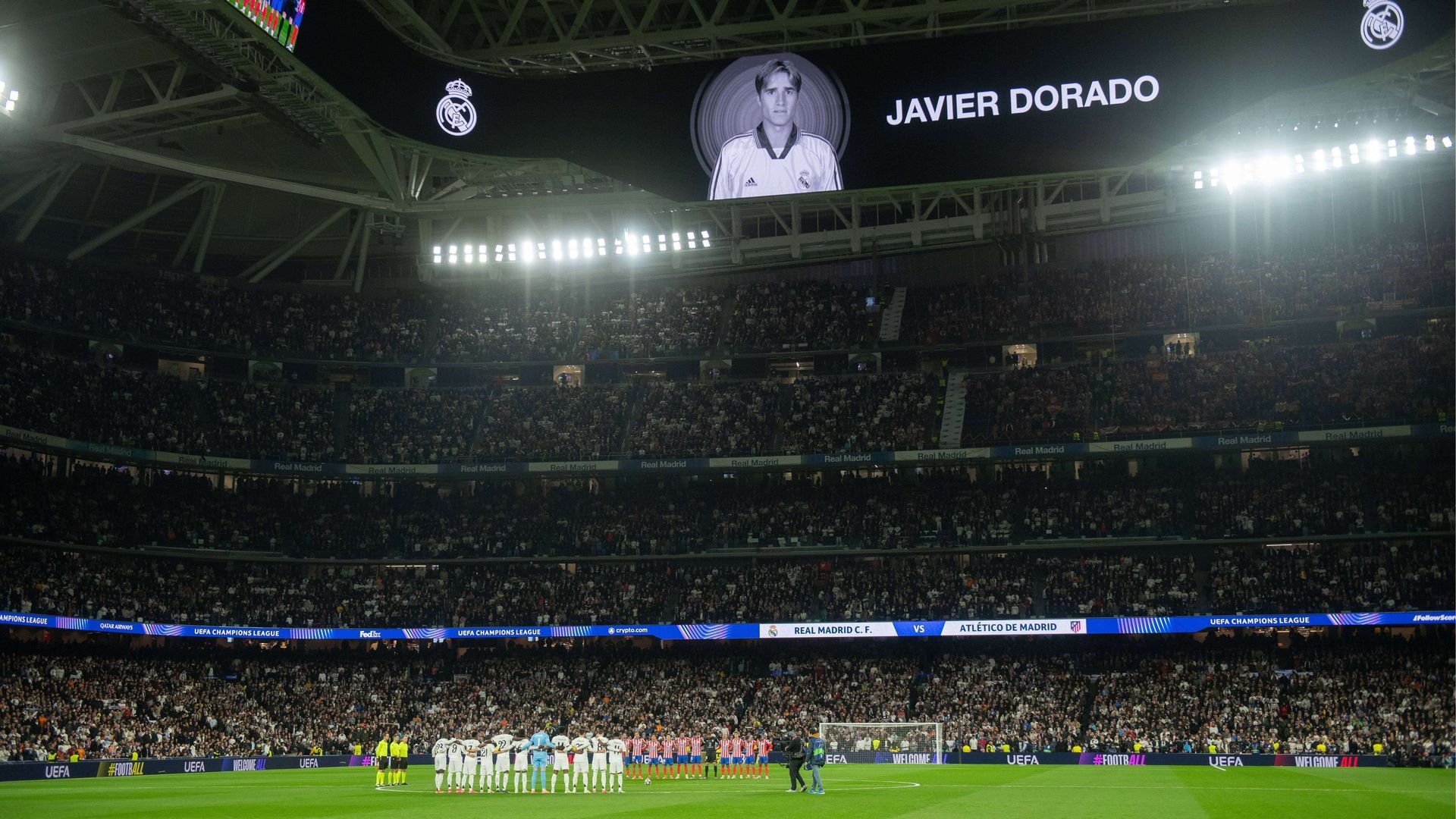 dsc_5385.jpg dsc_5385.jpg