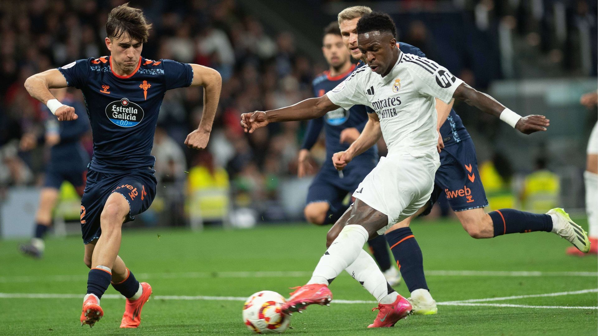 dsc_8361jpg.jpg dsc_8361jpg.jpg