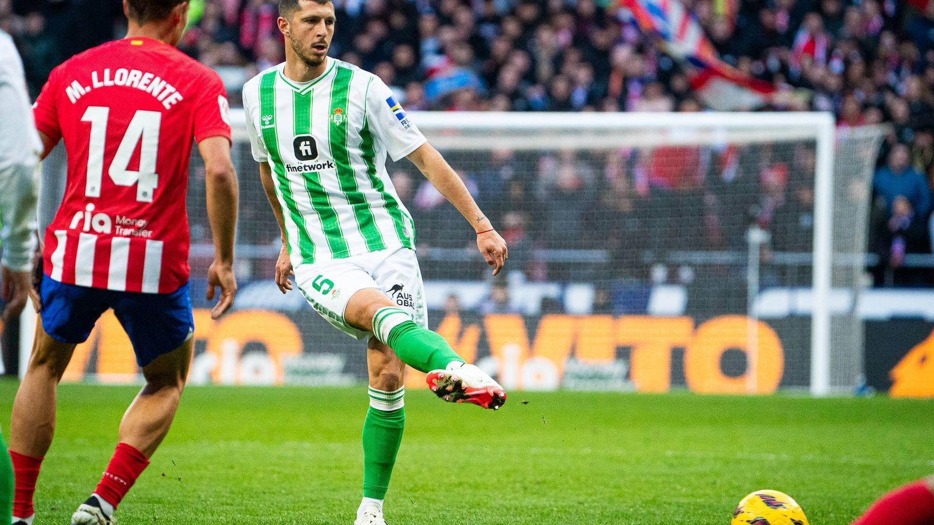 _dsc0733jpg.jpg _dsc0733jpg.jpg