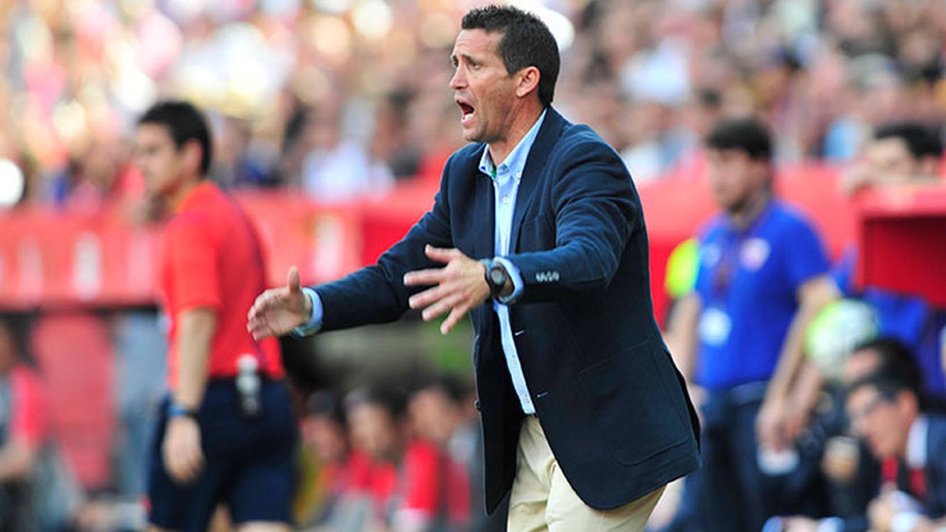 _DSC2955.jpg _DSC2955.jpg