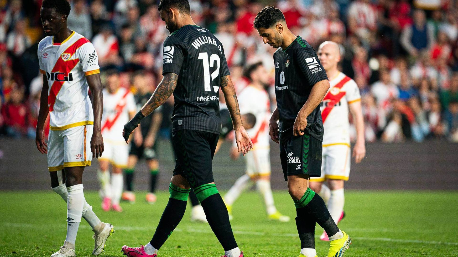 _dsc7944.jpg _dsc7944.jpg