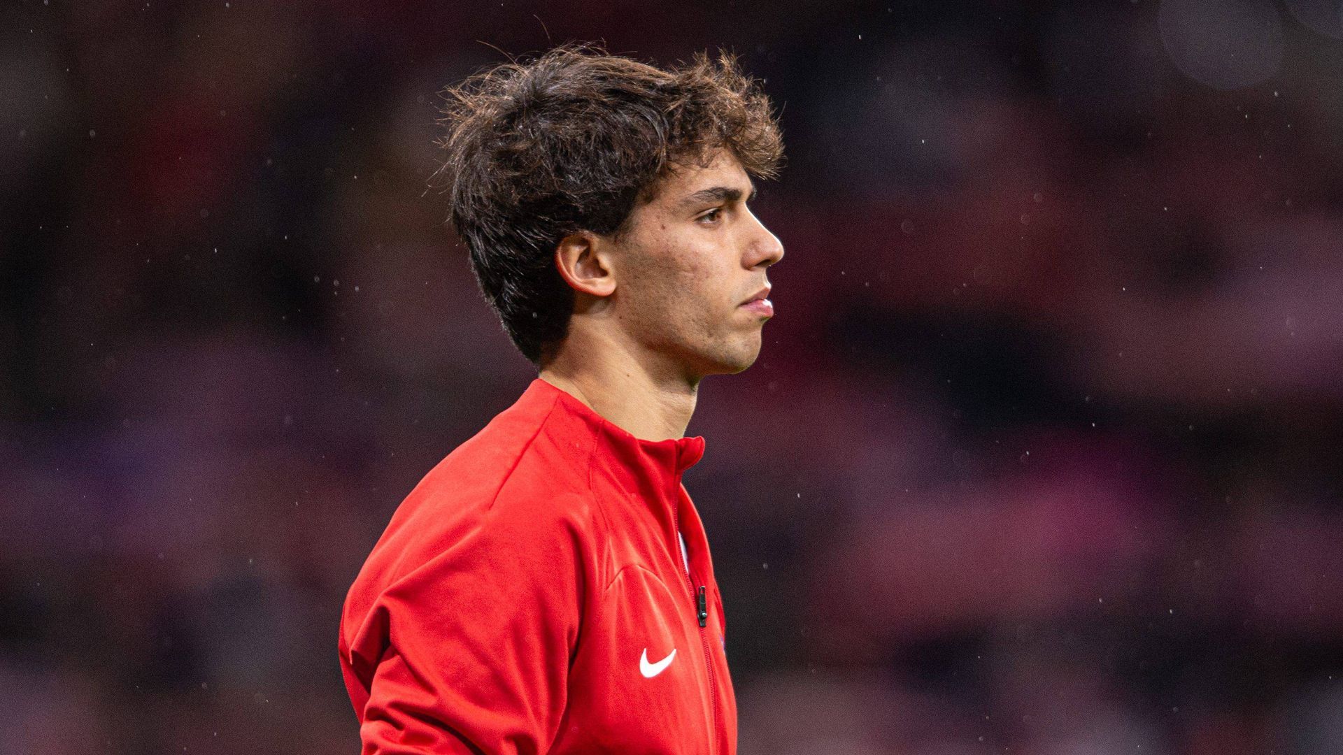 _dsc8130.jpg _dsc8130.jpg