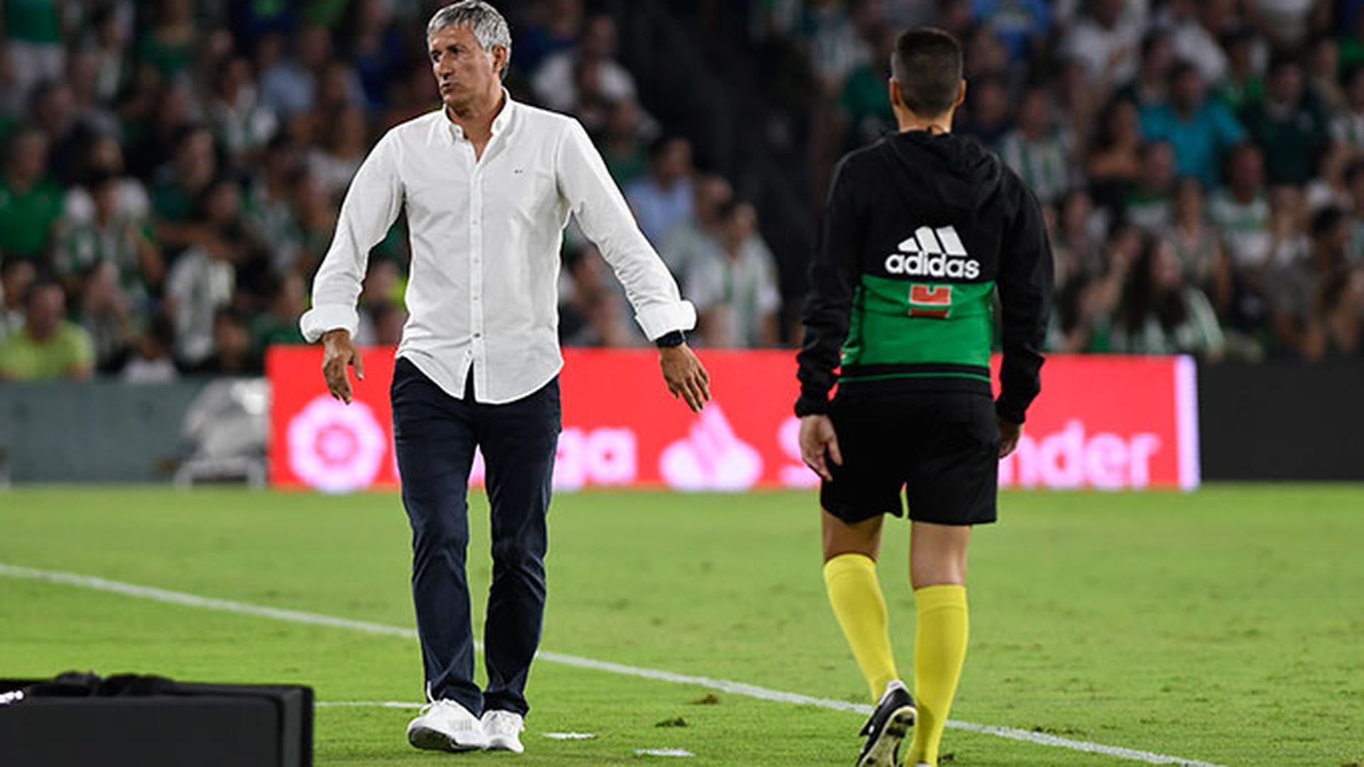 _dsc9228.jpg _dsc9228.jpg