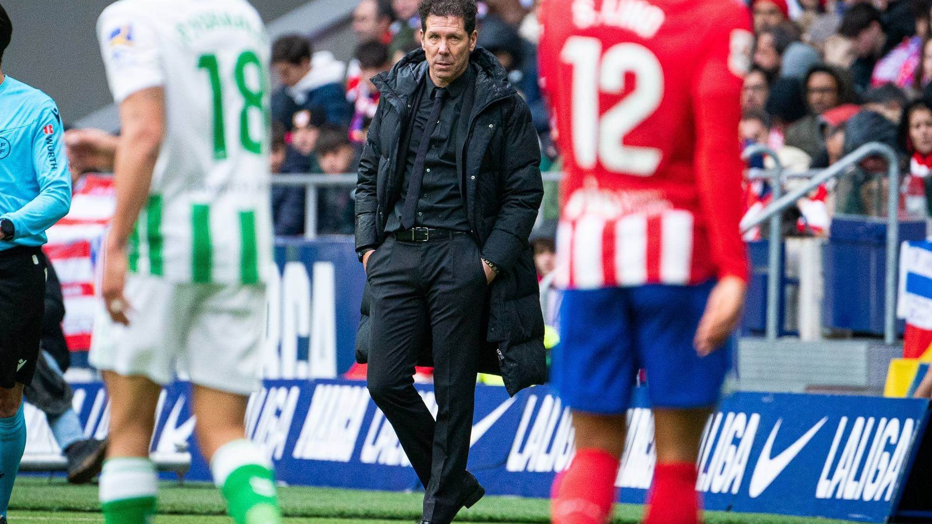 _dsc9748.jpg _dsc9748.jpg