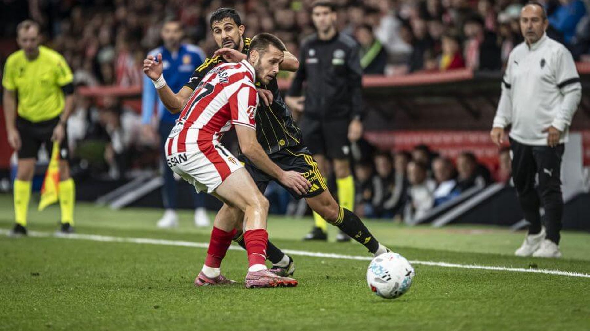 ef73600c1fe3261dd66126b810c43c6ajpeg.jpeg ef73600c1fe3261dd66126b810c43c6ajpeg.jpeg