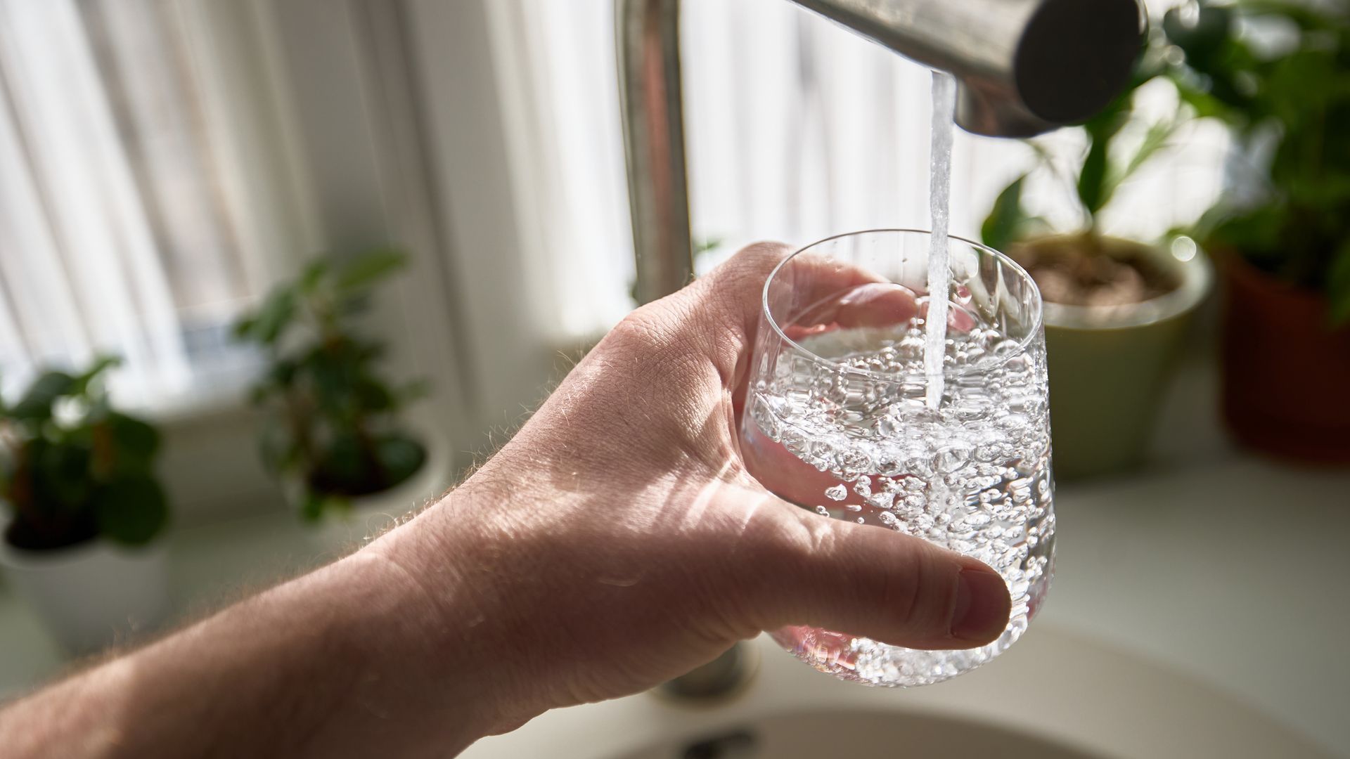 El experto Nicolás Olea subraya que el agua de grifo es mejor que la embotellada El experto Nicolás Olea subraya que el agua de grifo es mejor que la embotellada