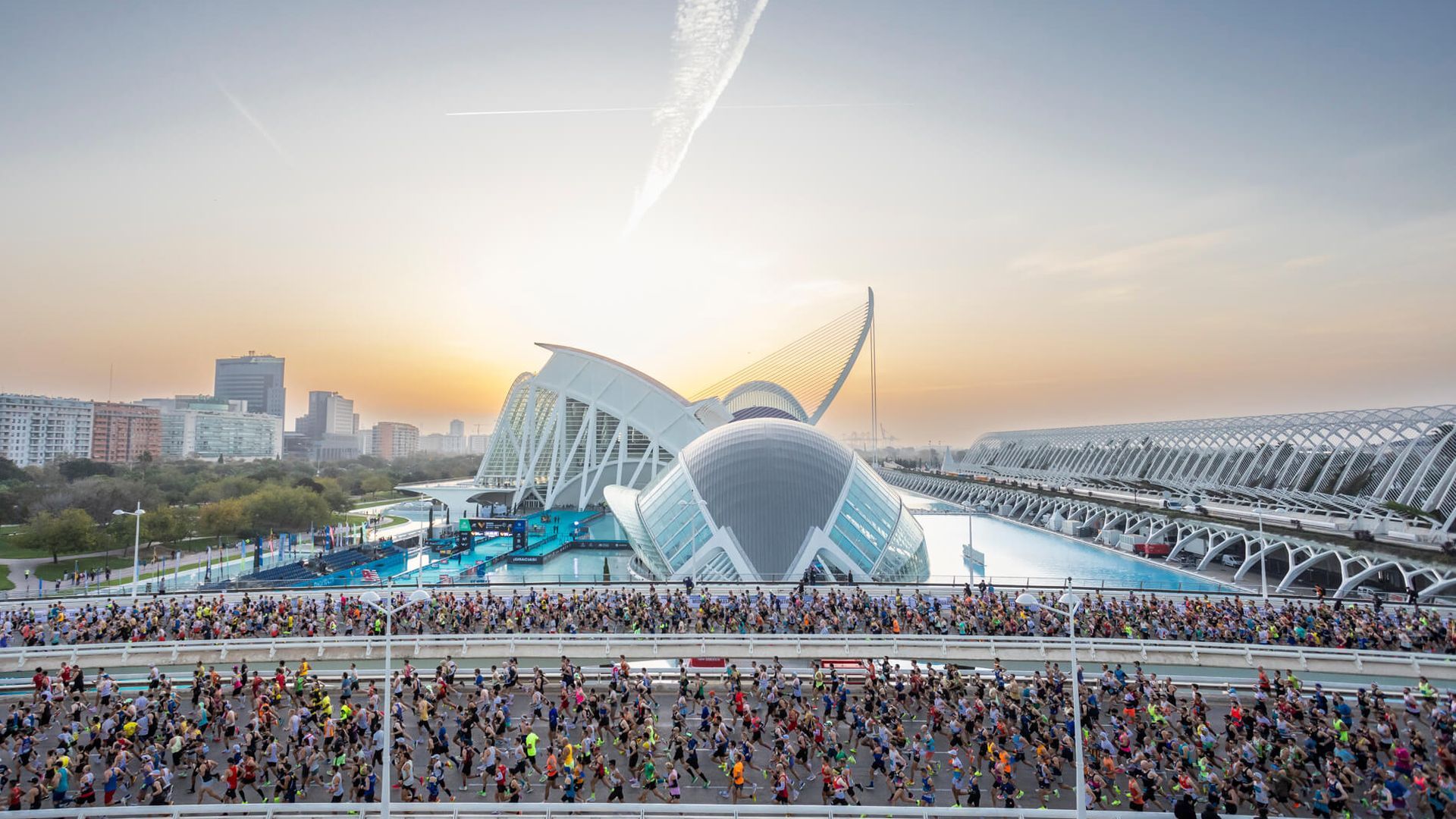 el_maraton_valencia_medira_su_huella_de_carbono_002.jpg el_maraton_valencia_medira_su_huella_de_carbono_002.jpg