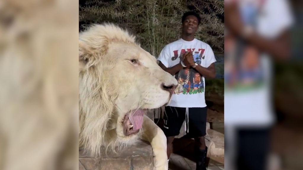 El vídeo viral de Tchouaméni con un León