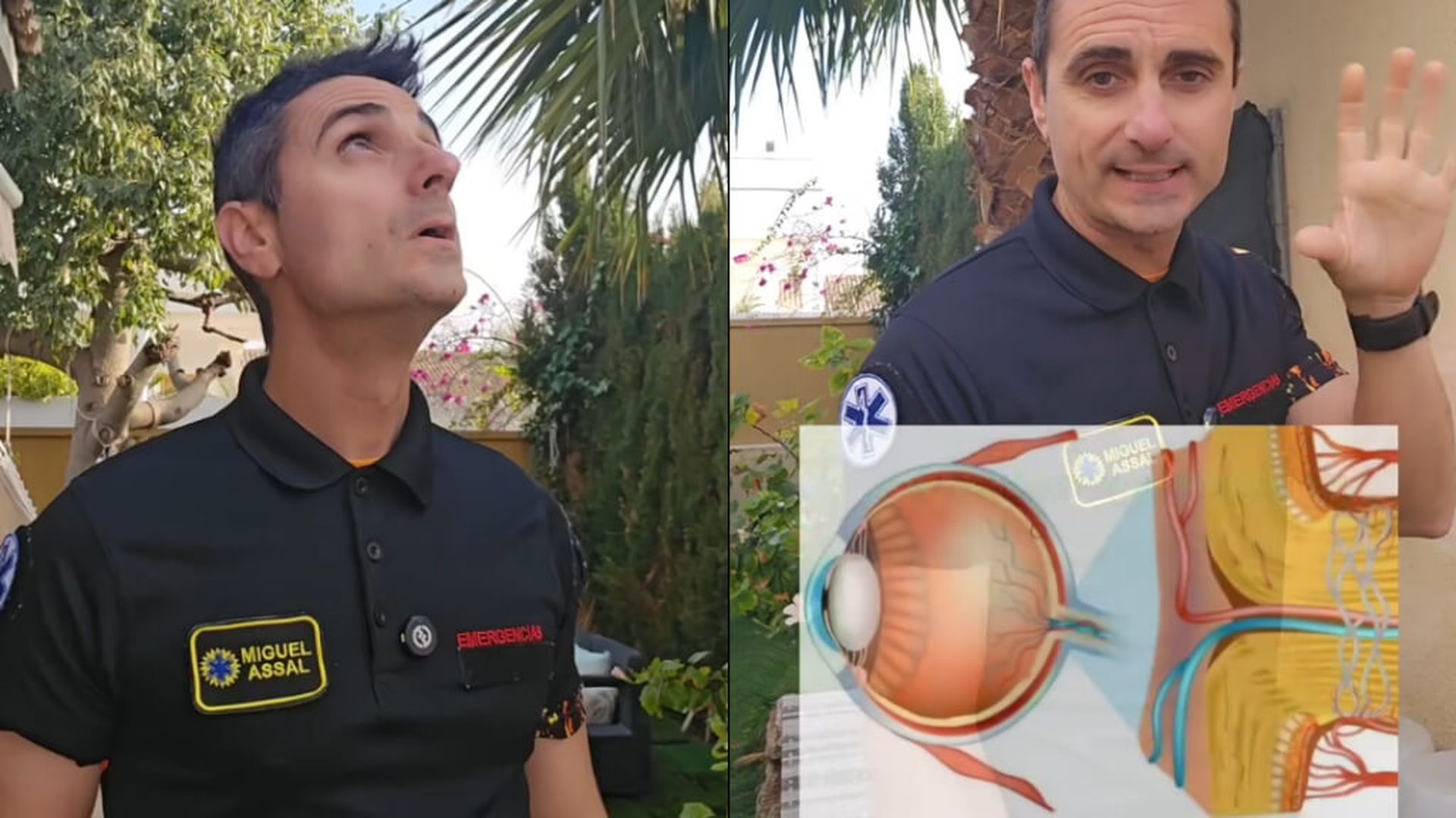 estornudo_soljpg.jpg estornudo_soljpg.jpg