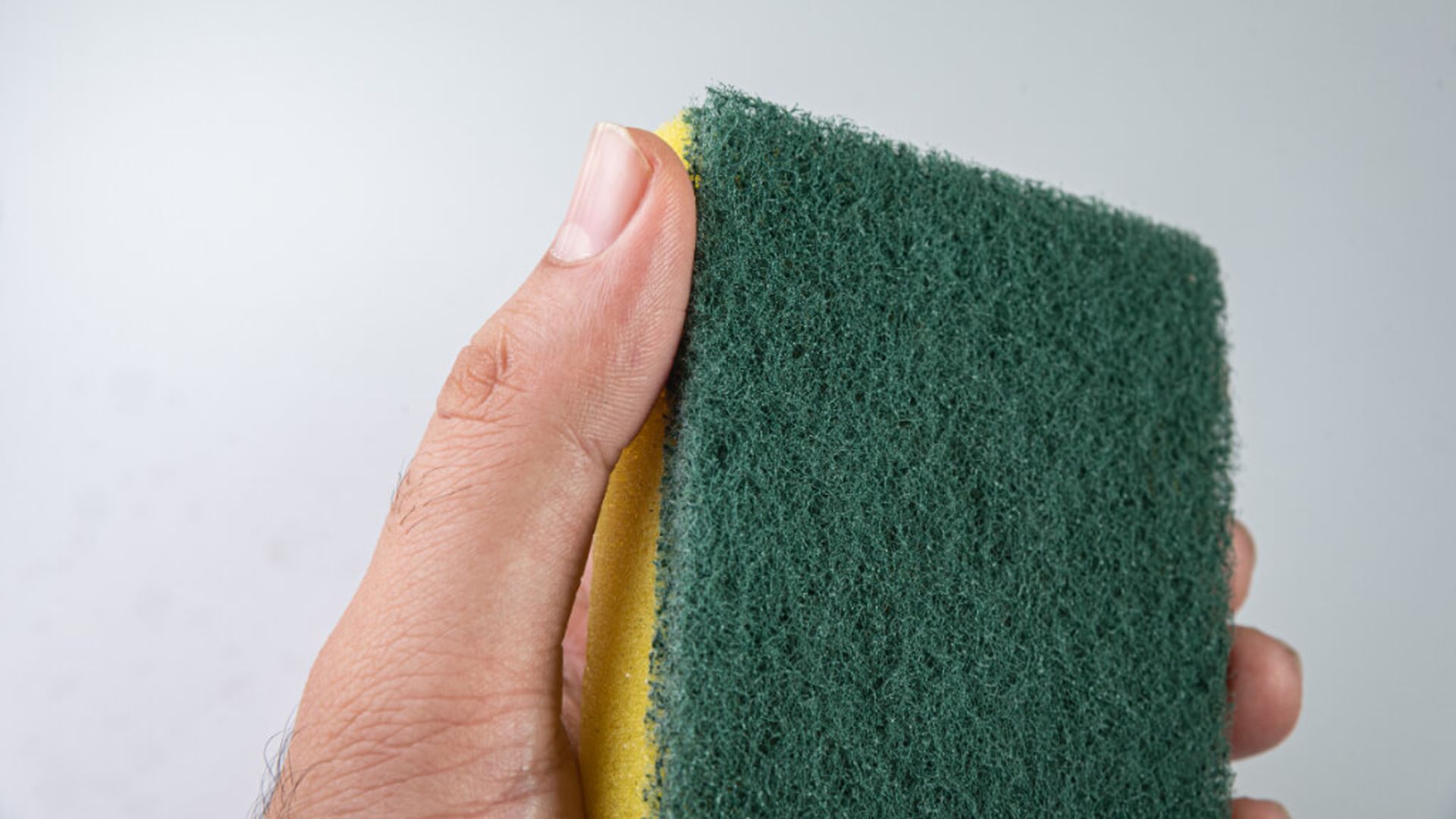 estropajojpg.jpg estropajojpg.jpg