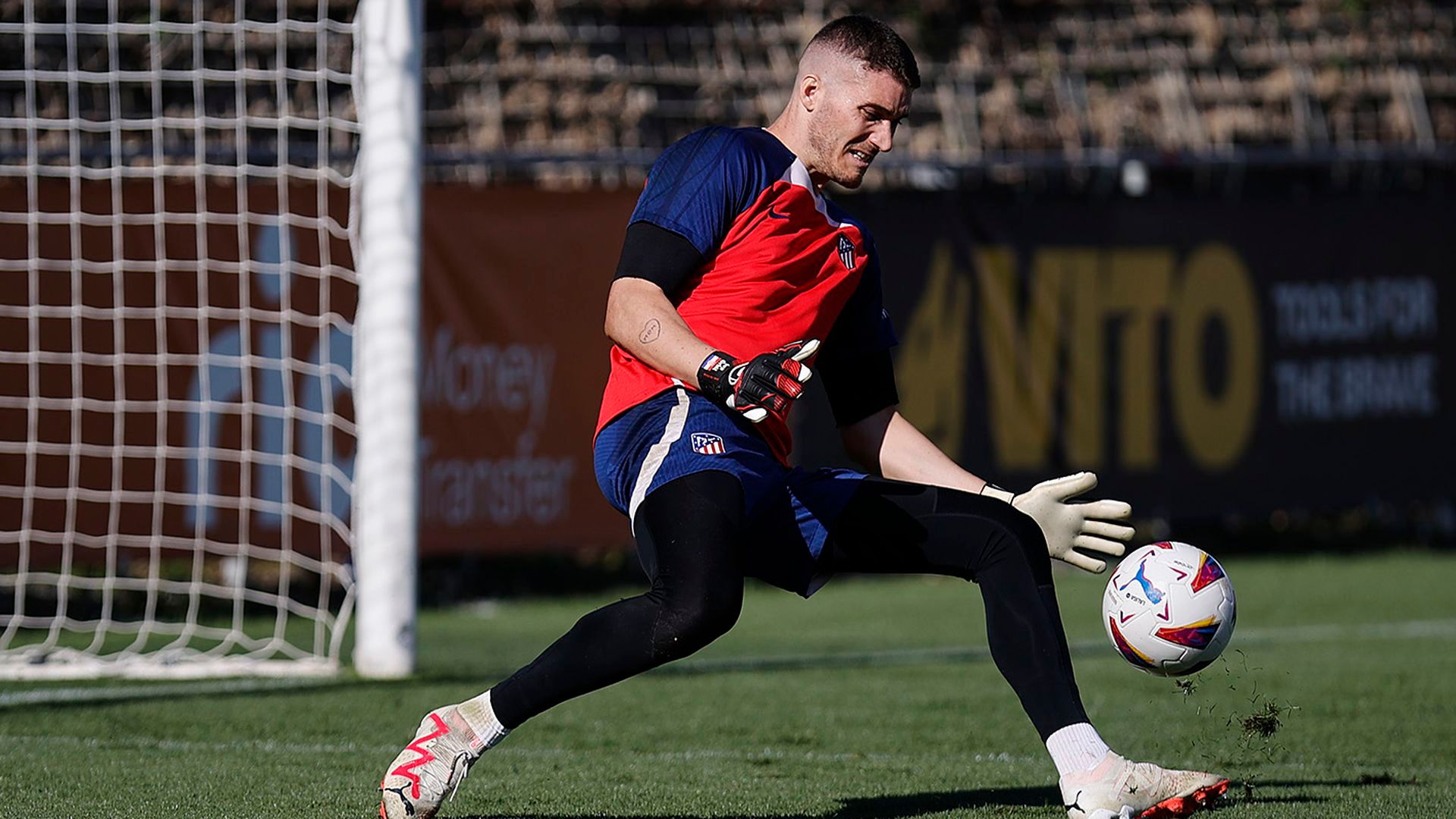 f8kedlmwgaan_vy.jpg f8kedlmwgaan_vy.jpg