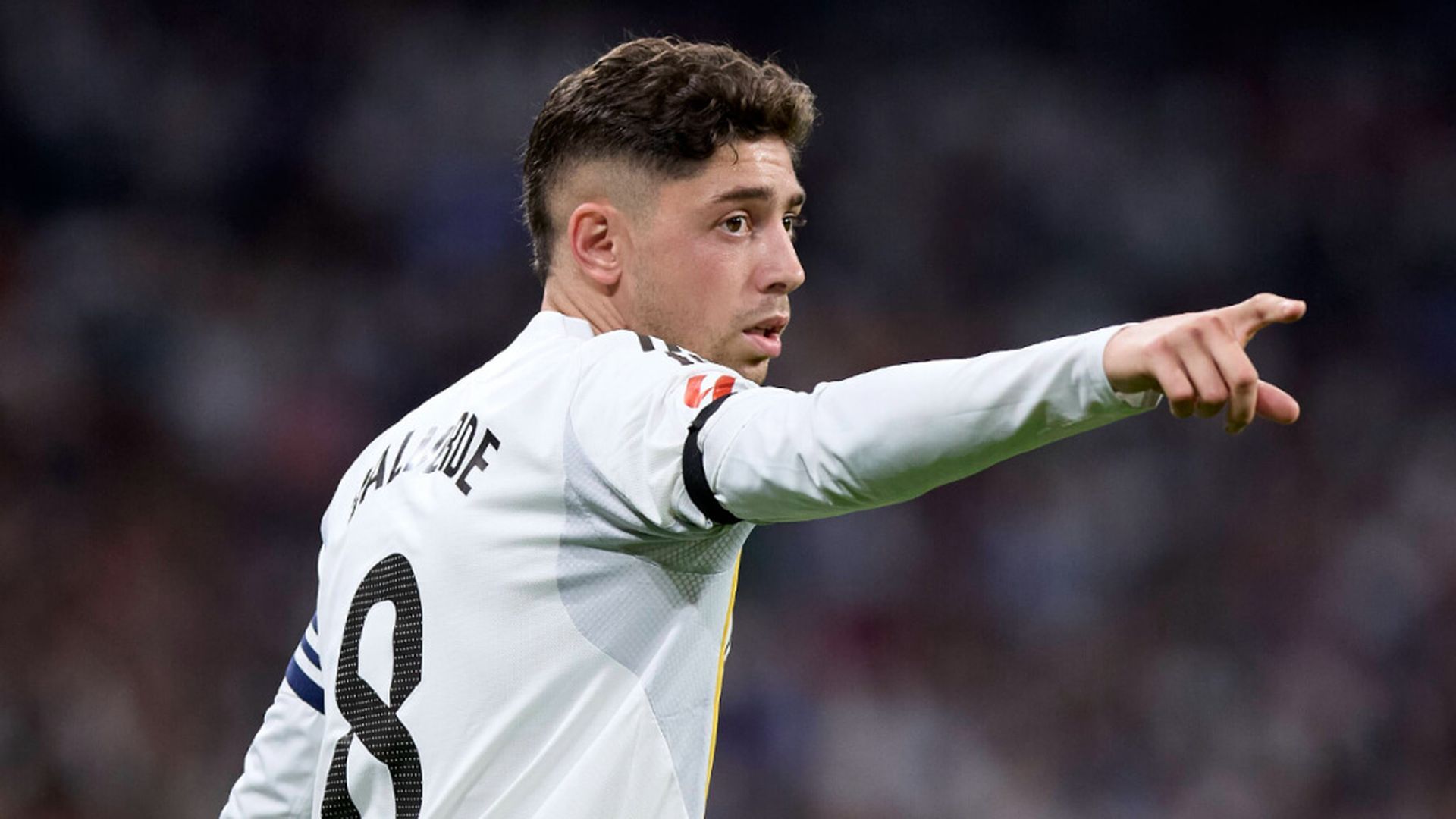 fedejpg_001.jpg fedejpg_001.jpg