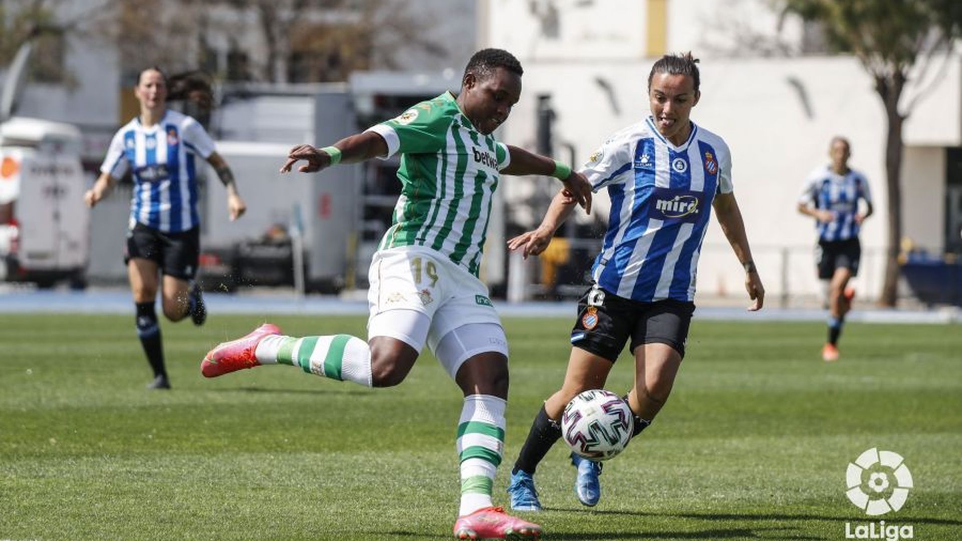 feminas.jpeg feminas.jpeg