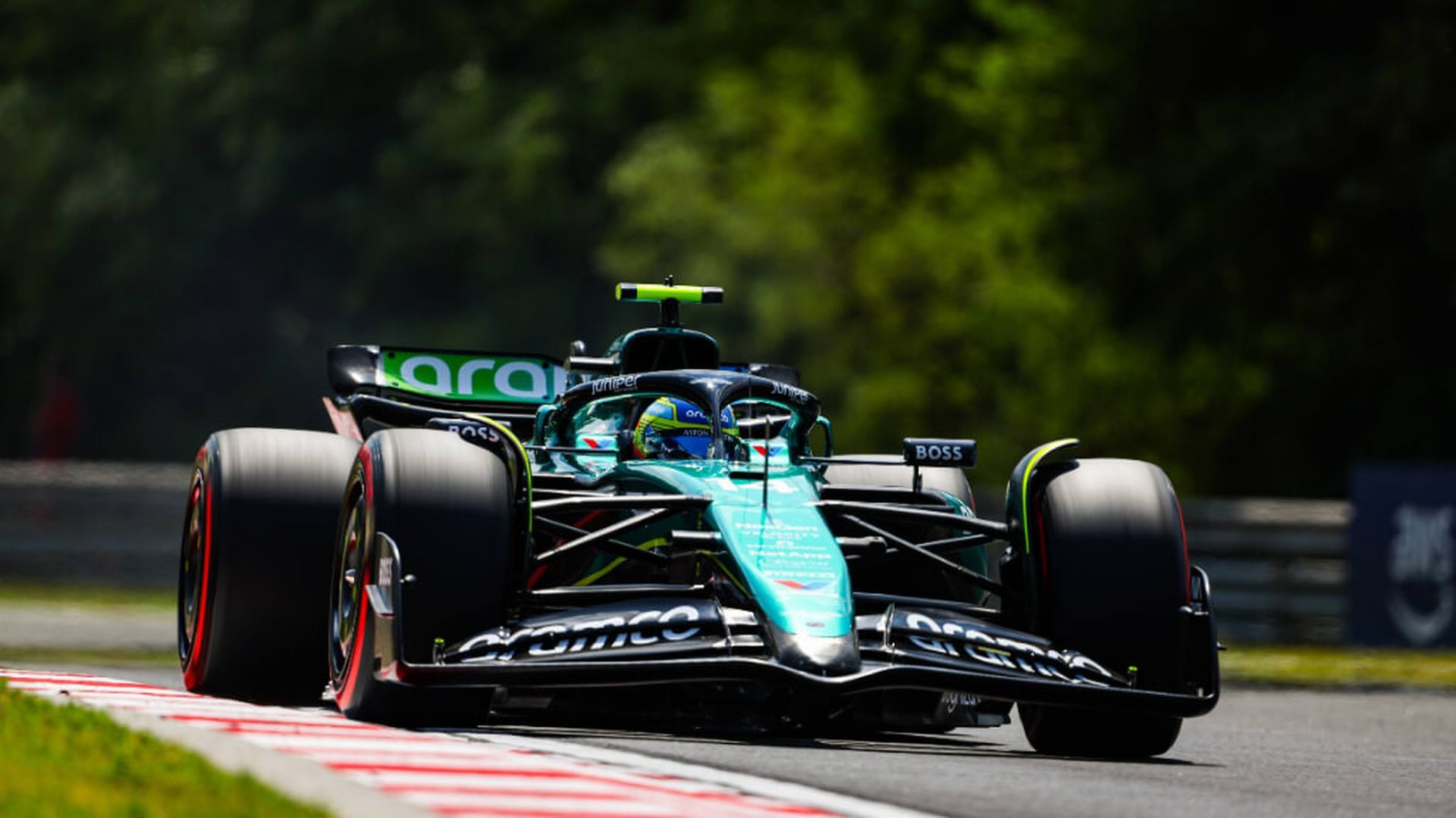 fernando_alonso.jpg fernando_alonso.jpg