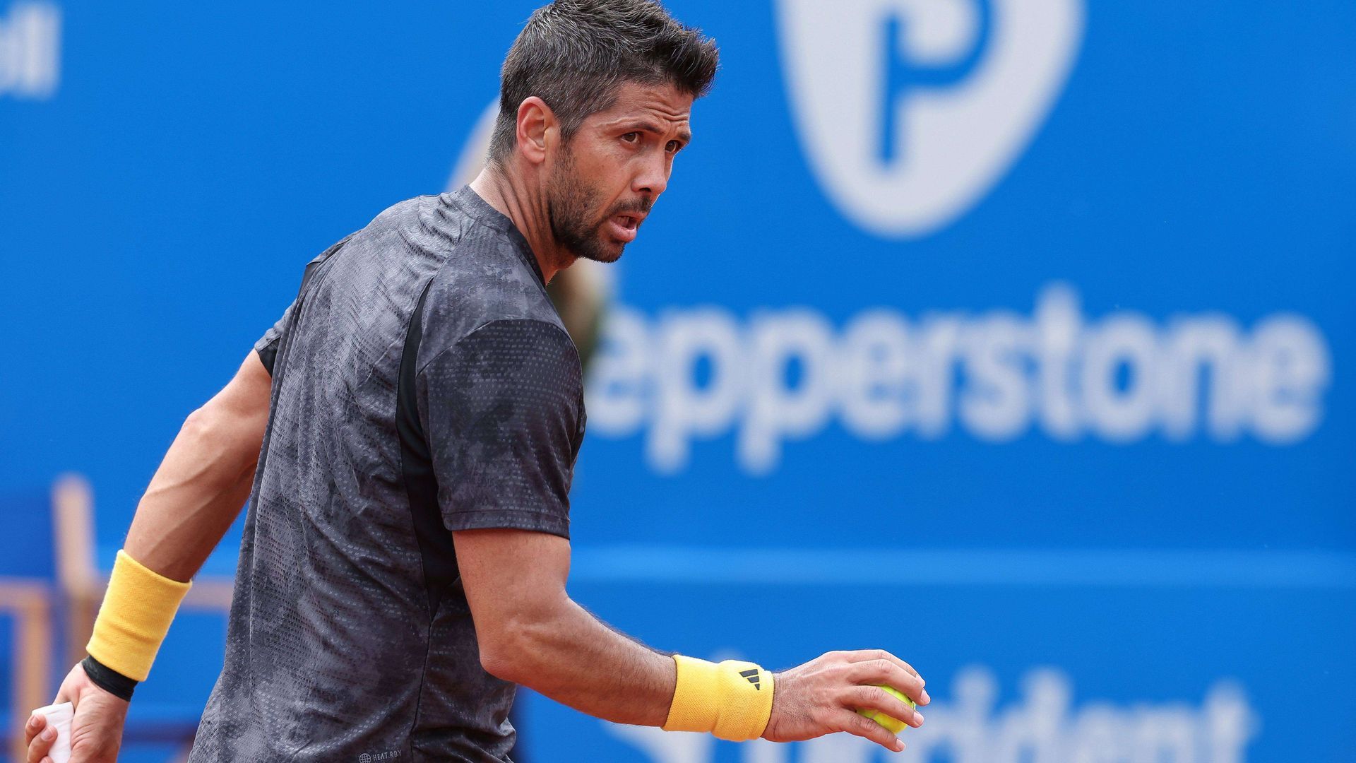fernando_verdasco_002.jpg fernando_verdasco_002.jpg