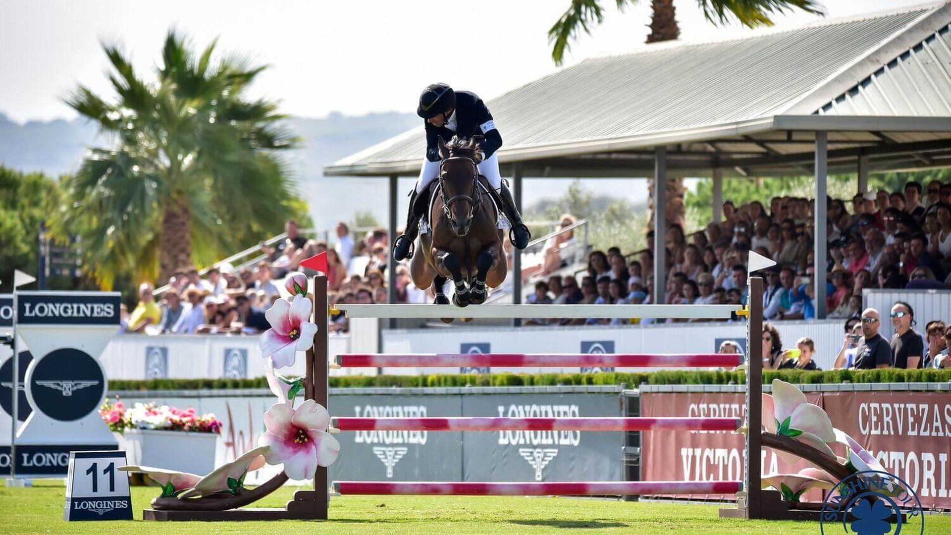 final_absoluto_web.jpg final_absoluto_web.jpg