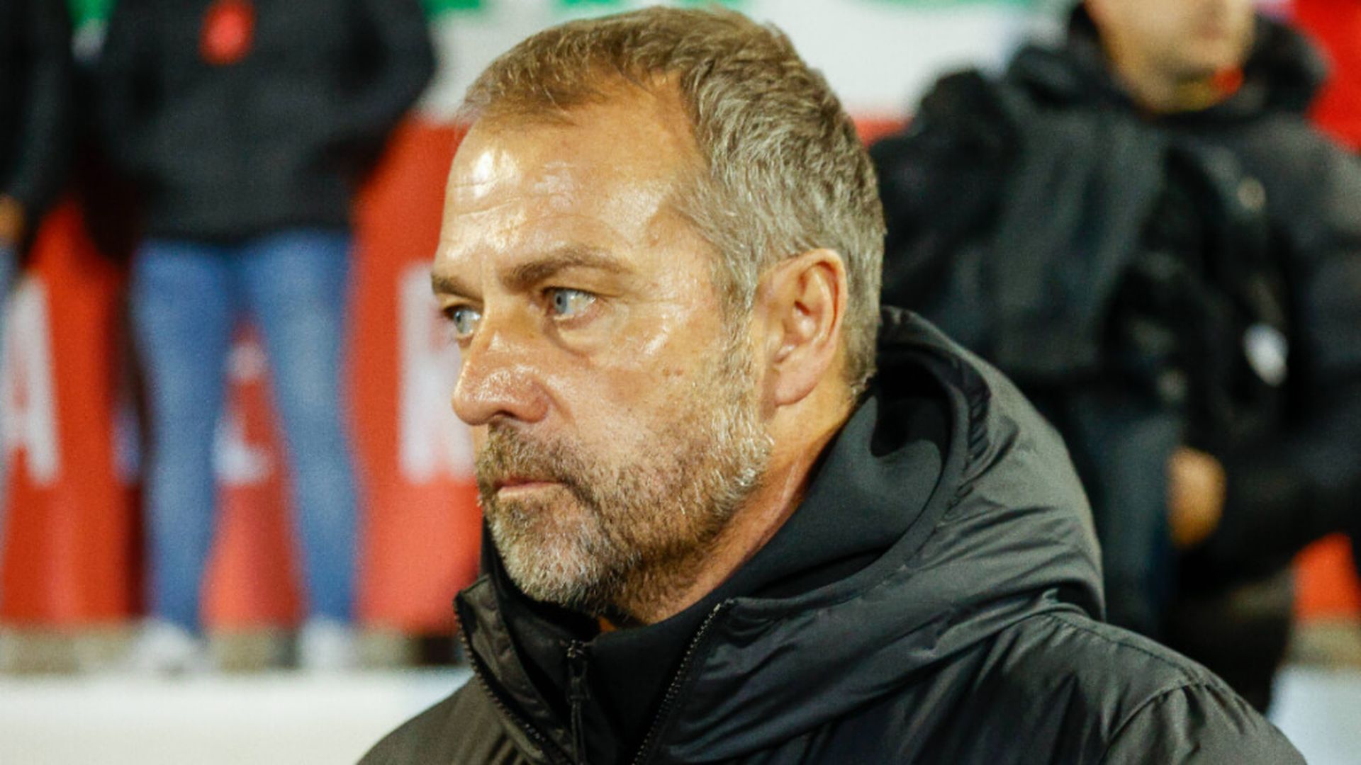 flick_barbastrojpg.jpg flick_barbastrojpg.jpg