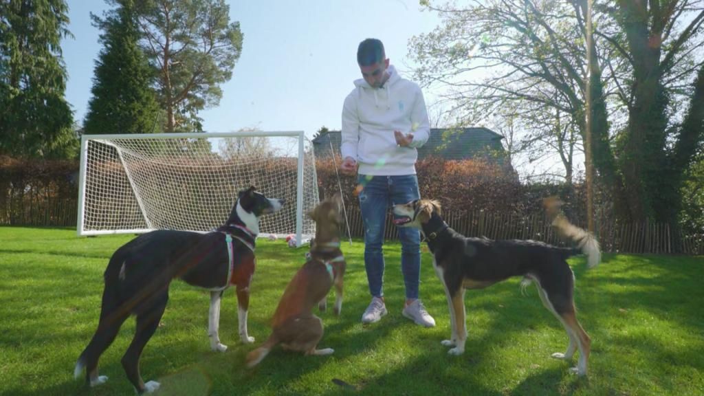 (Mediaset) La pasión oculta de Ferrán Torres: embajador Champions de una importante protectora animal de Londres