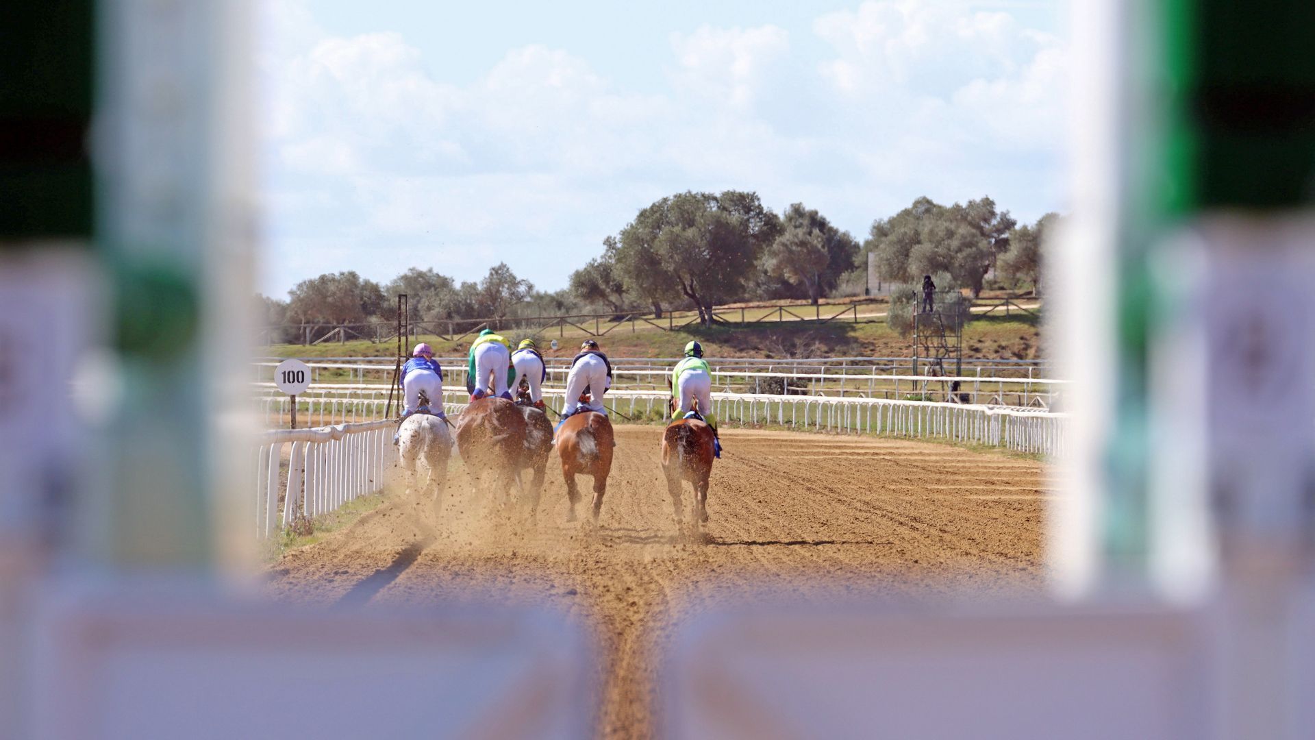 fotografi__a_gha_pepe_cruz_marti__n.jpg fotografi__a_gha_pepe_cruz_marti__n.jpg