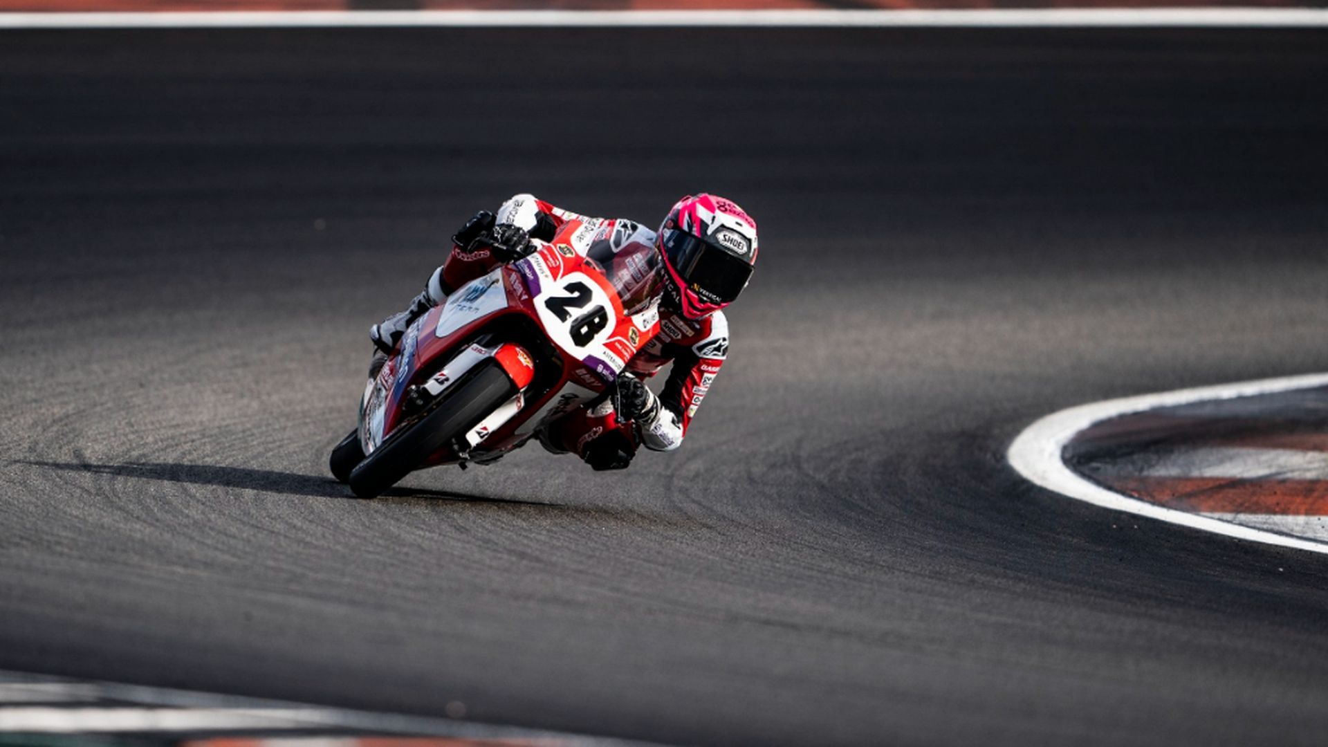 fotojet___2023_11_05t135321935.jpg fotojet___2023_11_05t135321935.jpg