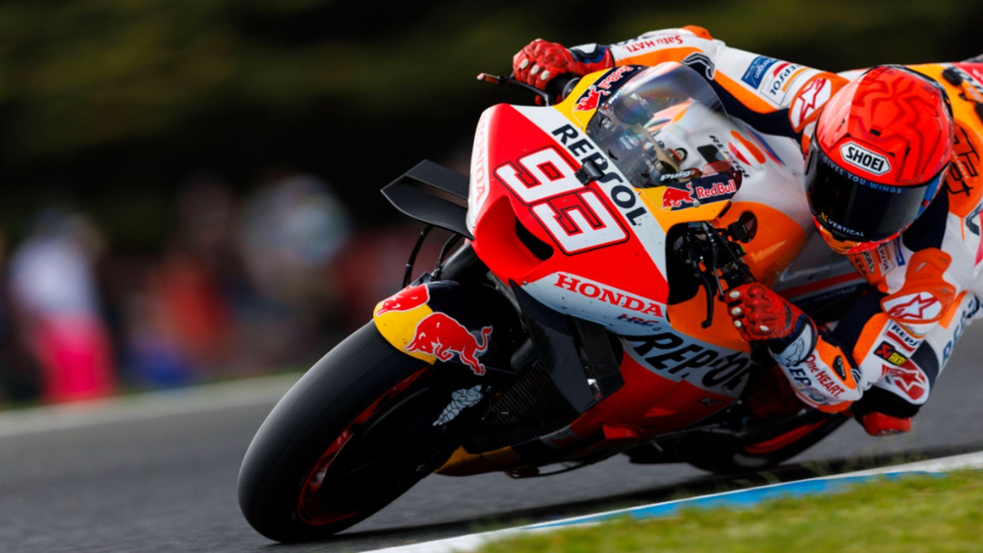 fotojet___2023_11_05t164046211.jpg fotojet___2023_11_05t164046211.jpg