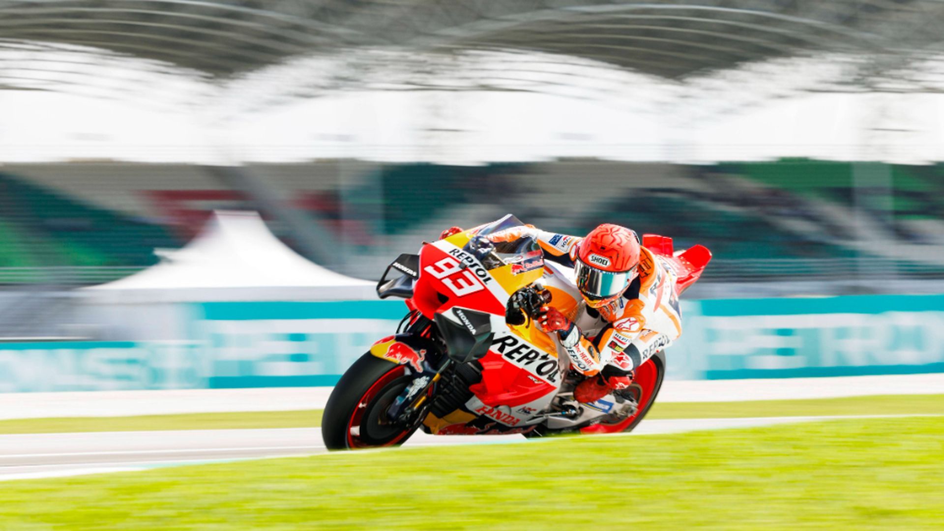 fotojet___2023_11_11t091450306.jpg fotojet___2023_11_11t091450306.jpg