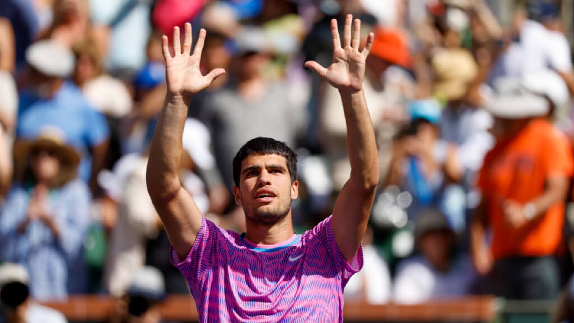 fotojet___2024_03_13t165853283jpg.jpg fotojet___2024_03_13t165853283jpg.jpg